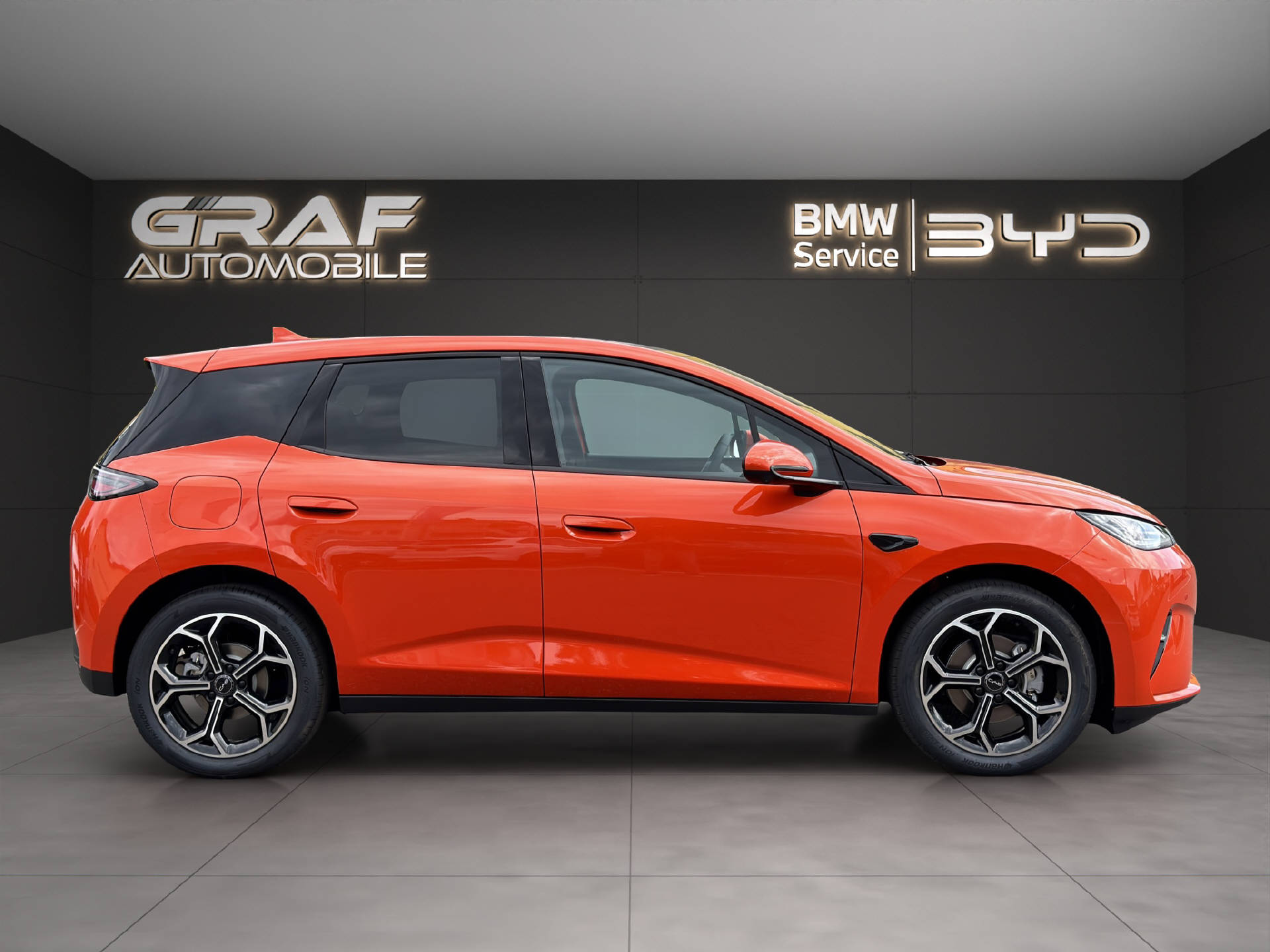 BYD Dolphin G DM-i Comfort-showroom-element-3