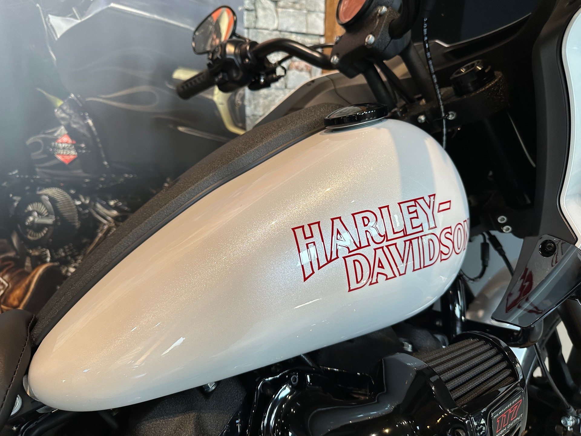 HARLEY-DAVIDSON FXLRST Low Rider ST 117ci-image-6