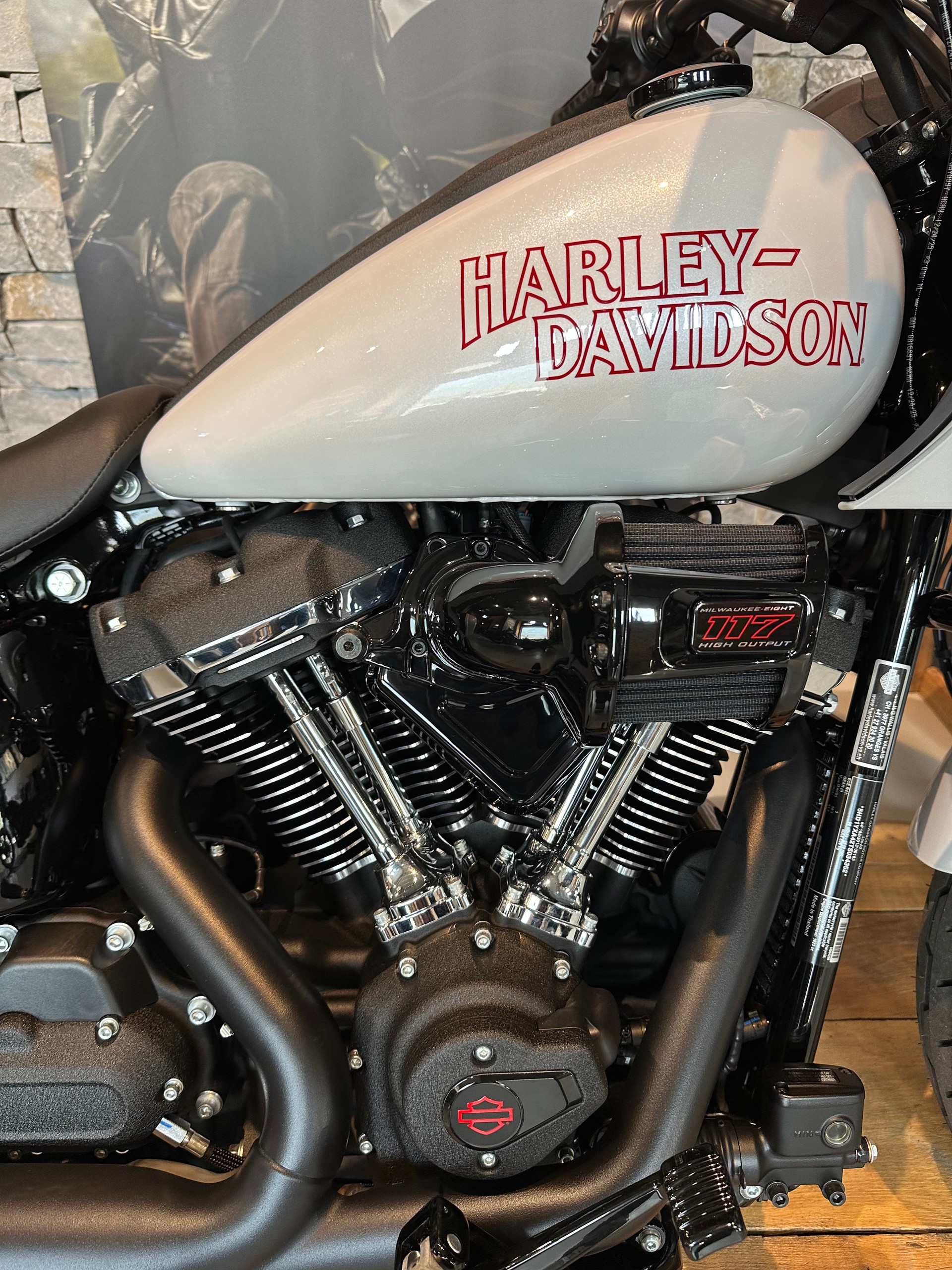 HARLEY-DAVIDSON FXLRST Low Rider ST 117ci-image-3