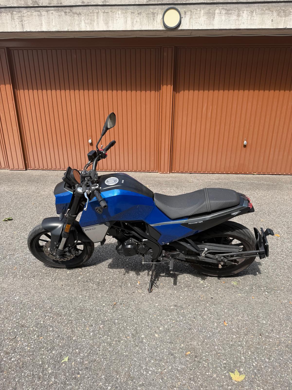 PEUGEOT PM-01-image-2