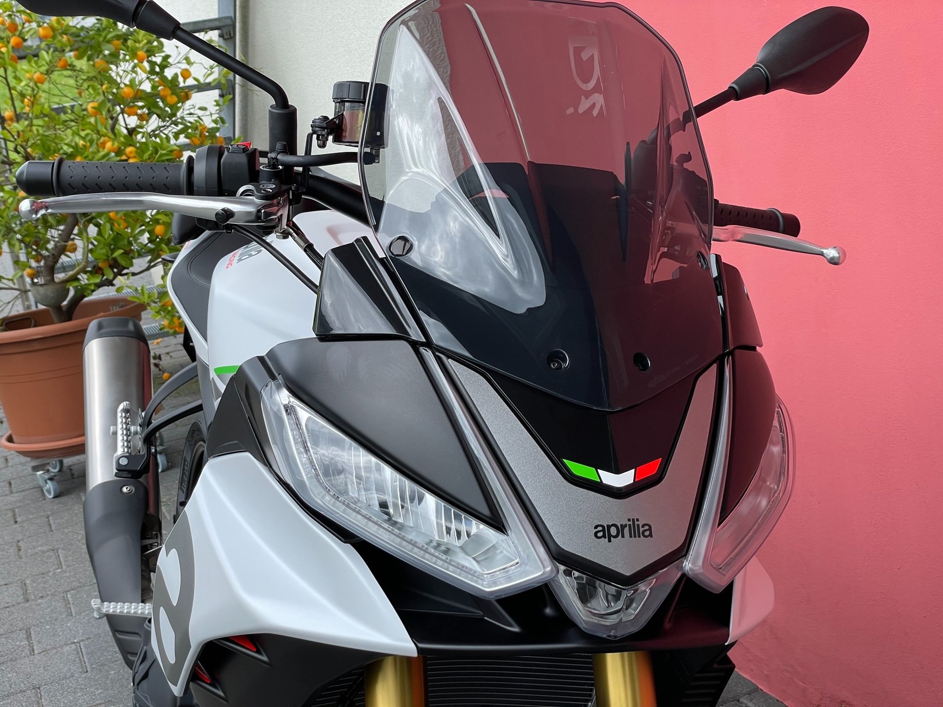 APRILIA Tuono V4 1100-image-5