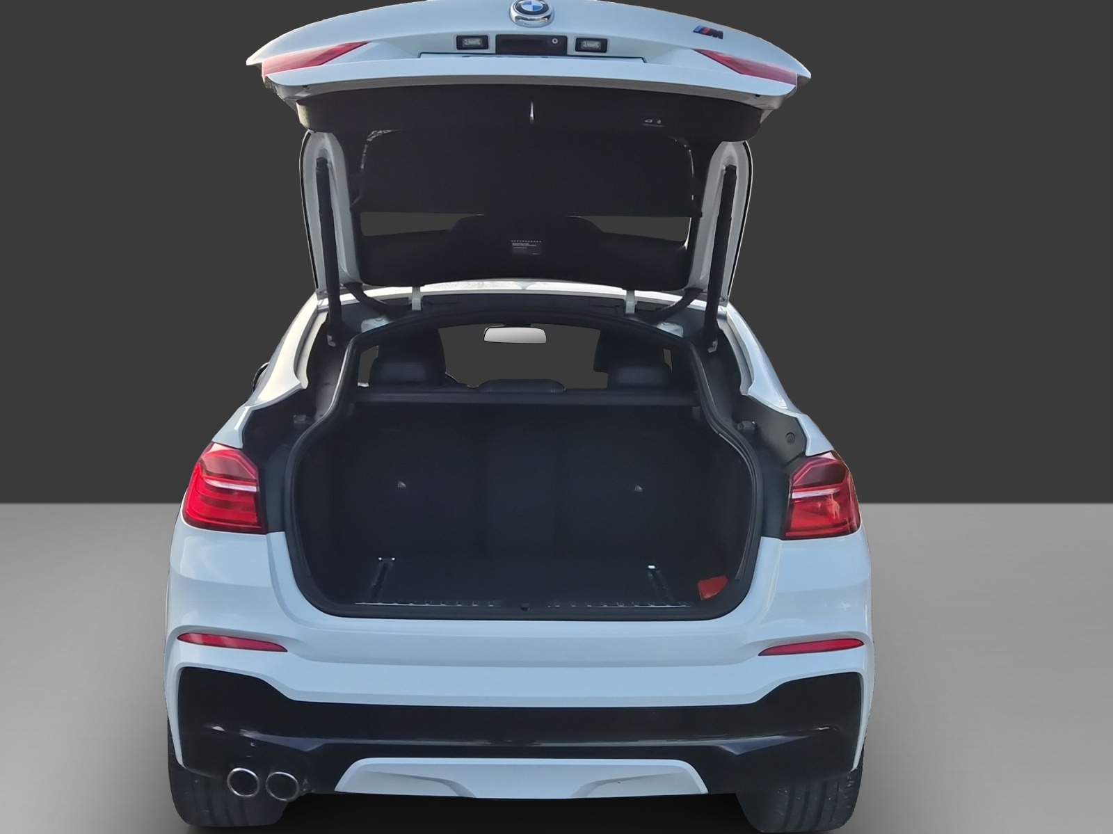 BMW X4 xDrive 35d Steptronic M-Sport-image-8