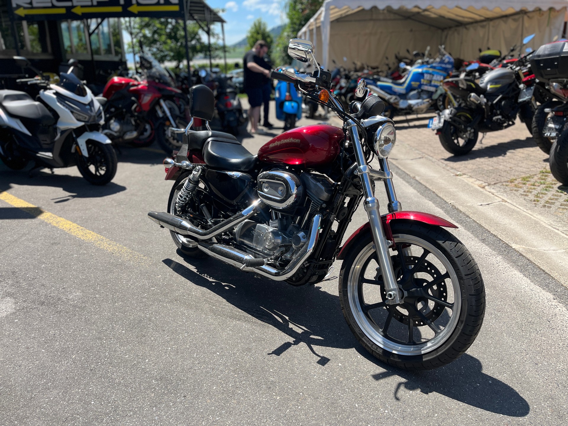 HARLEY-DAVIDSON XL 883 L Sportster Super Low ABS-image-3