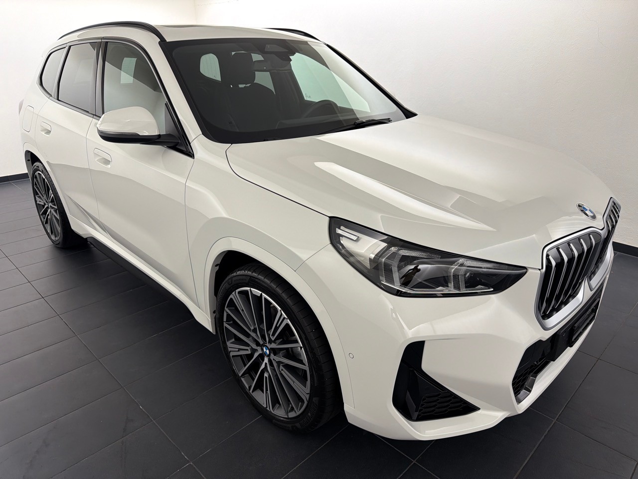 BMW X1 xDrive 20d 48V M Sport-showroom-element-3
