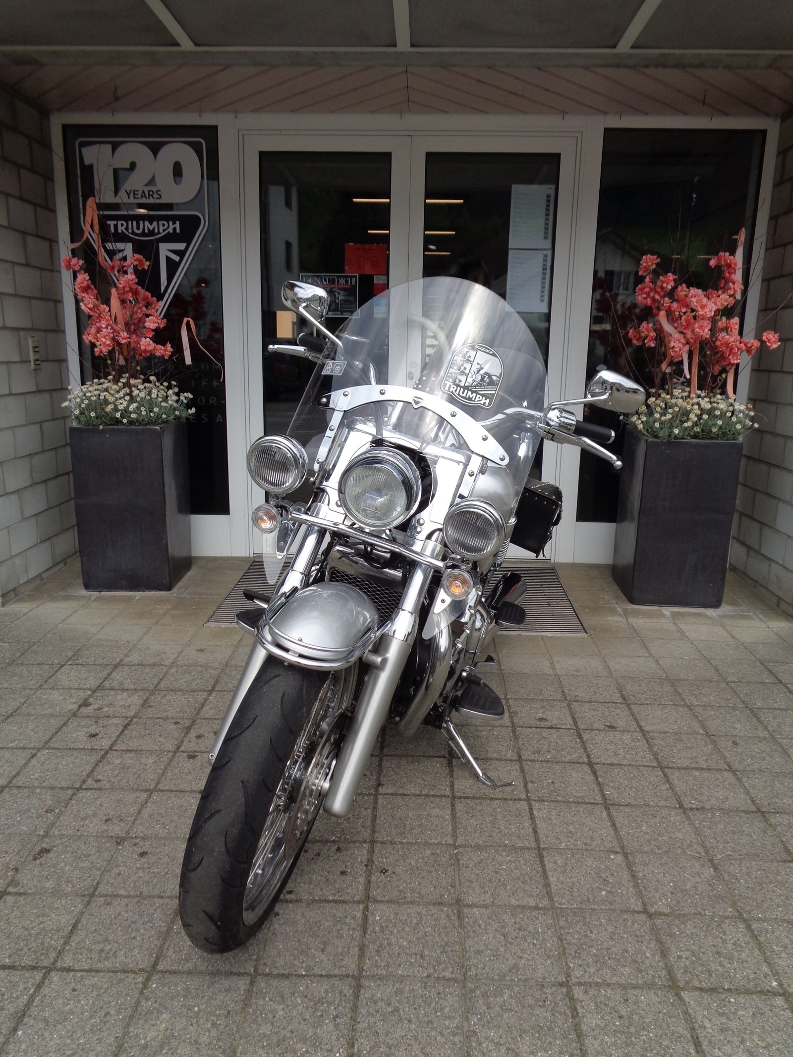TRIUMPH Thunderbird 1700 ABS mit Speichenrädern-image-3