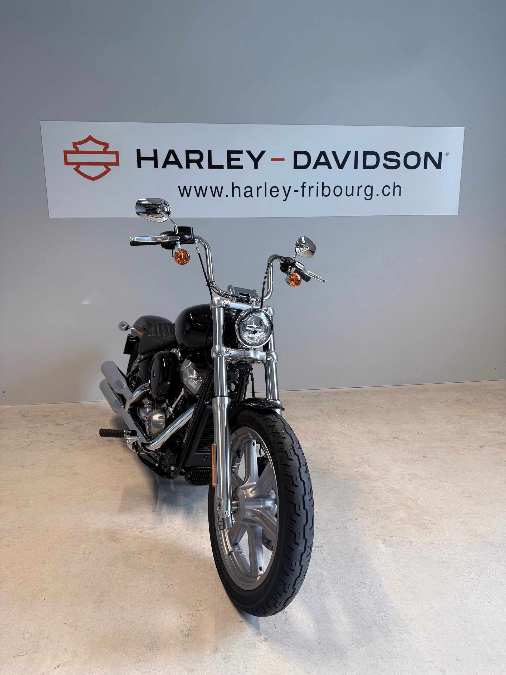 HARLEY-DAVIDSON FXST Softail Standard 107-image-2