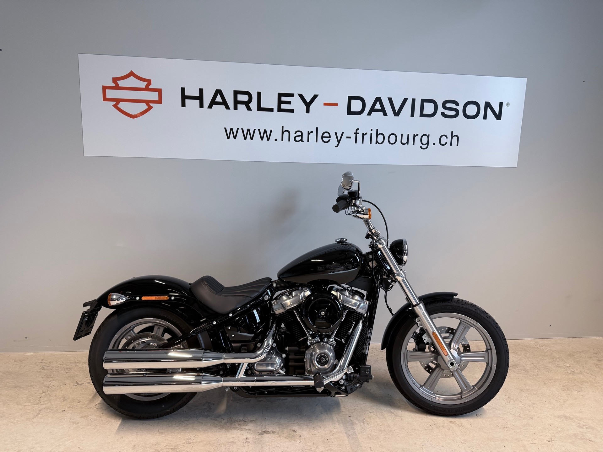 HARLEY-DAVIDSON FXST Softail Standard 107