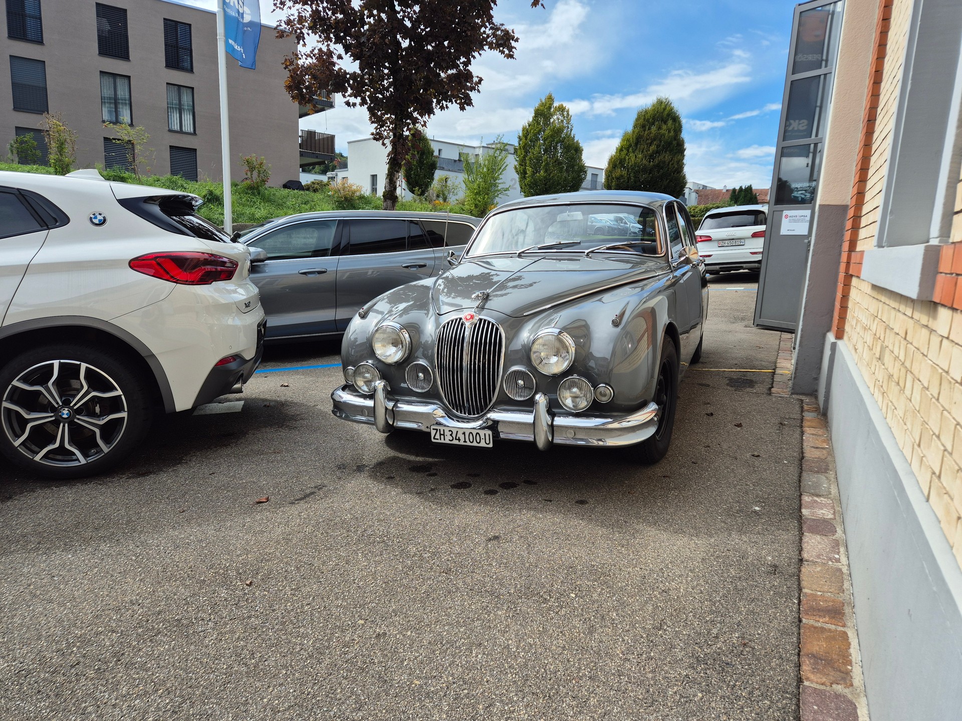 JAGUAR 4.2