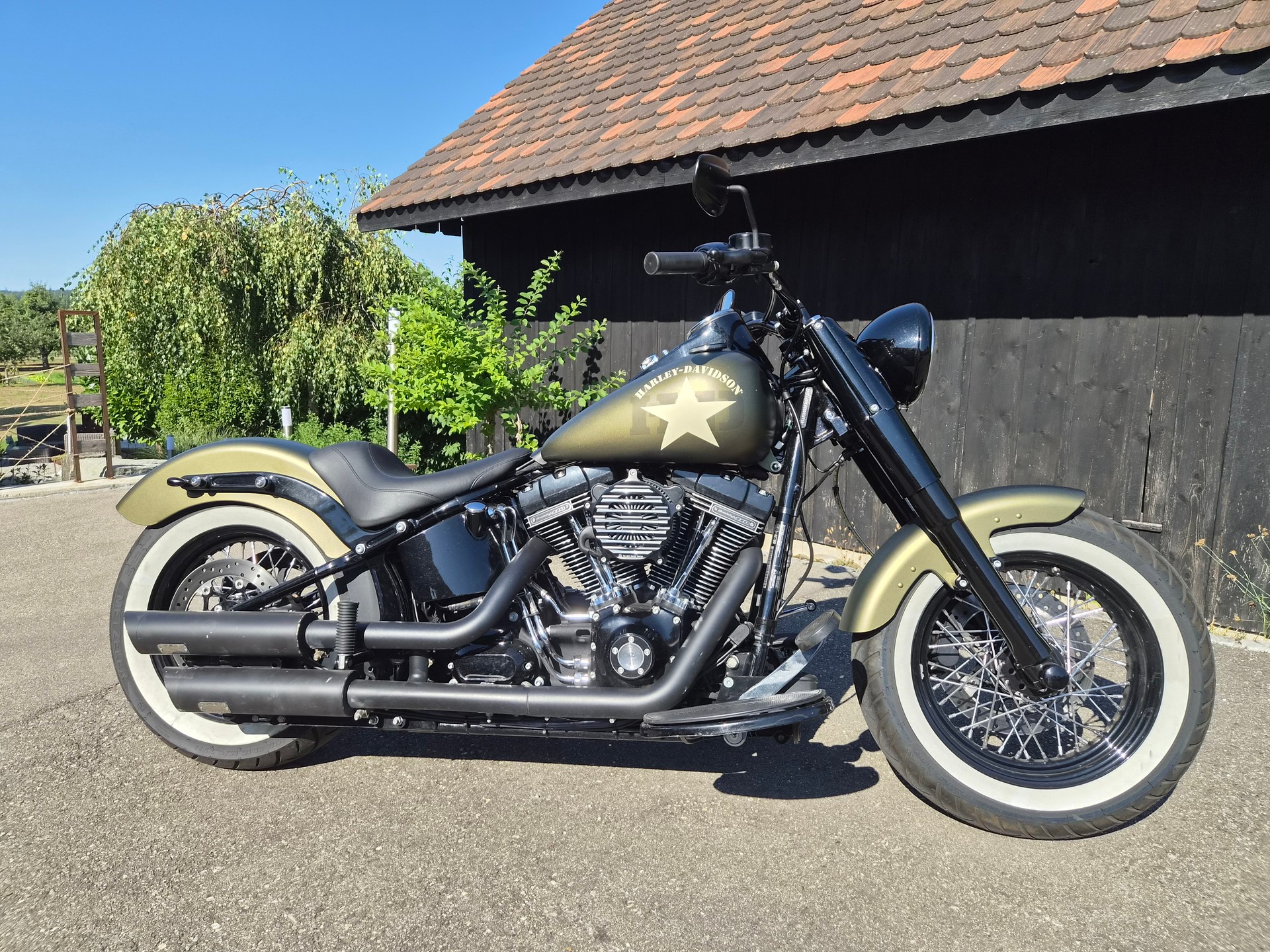 HARLEY-DAVIDSON FLSS Softail Slim S110 ABS-image-0