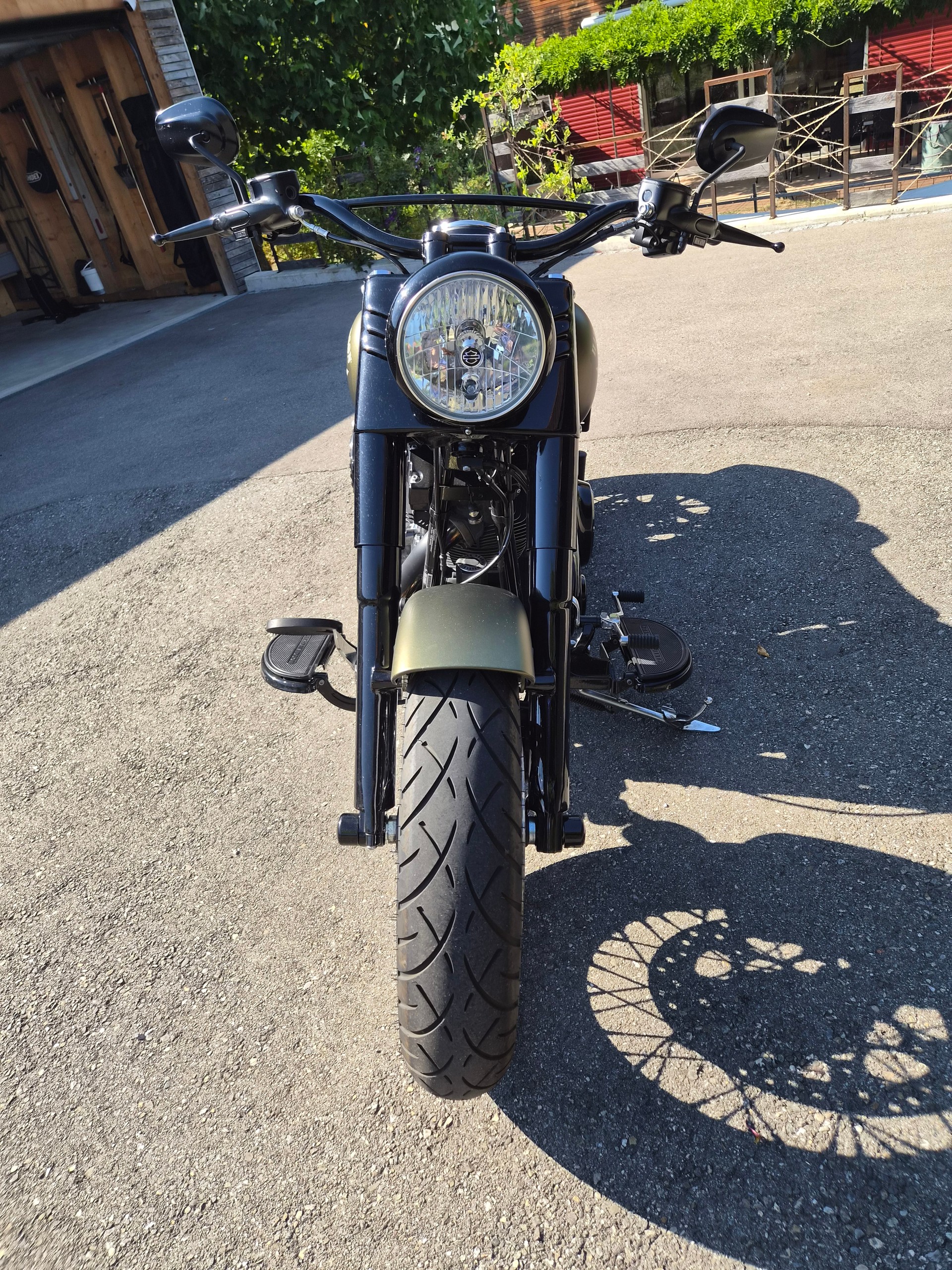 HARLEY-DAVIDSON FLSS Softail Slim S110 ABS-image-3