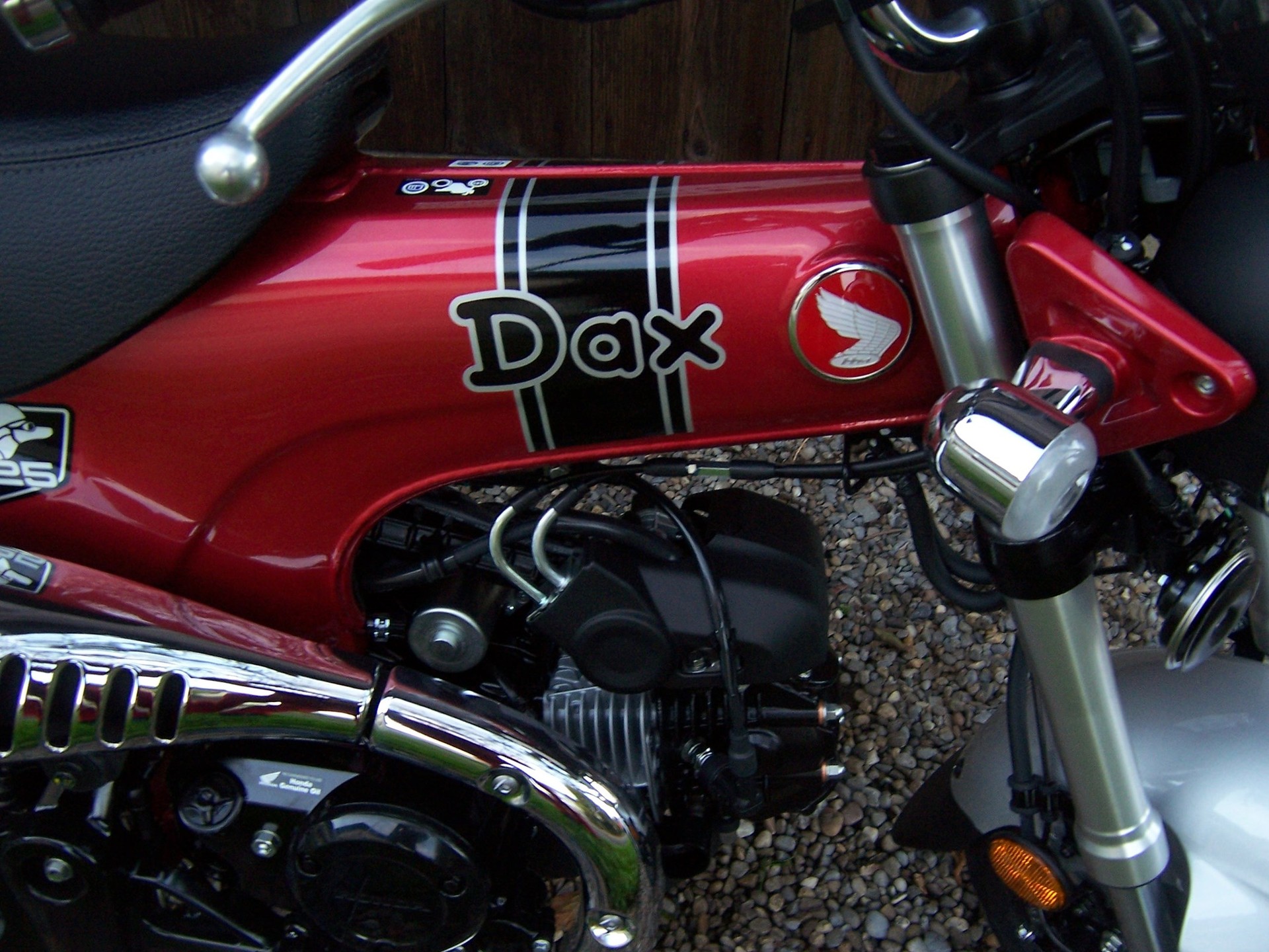 HONDA St 125 Dax-image-6