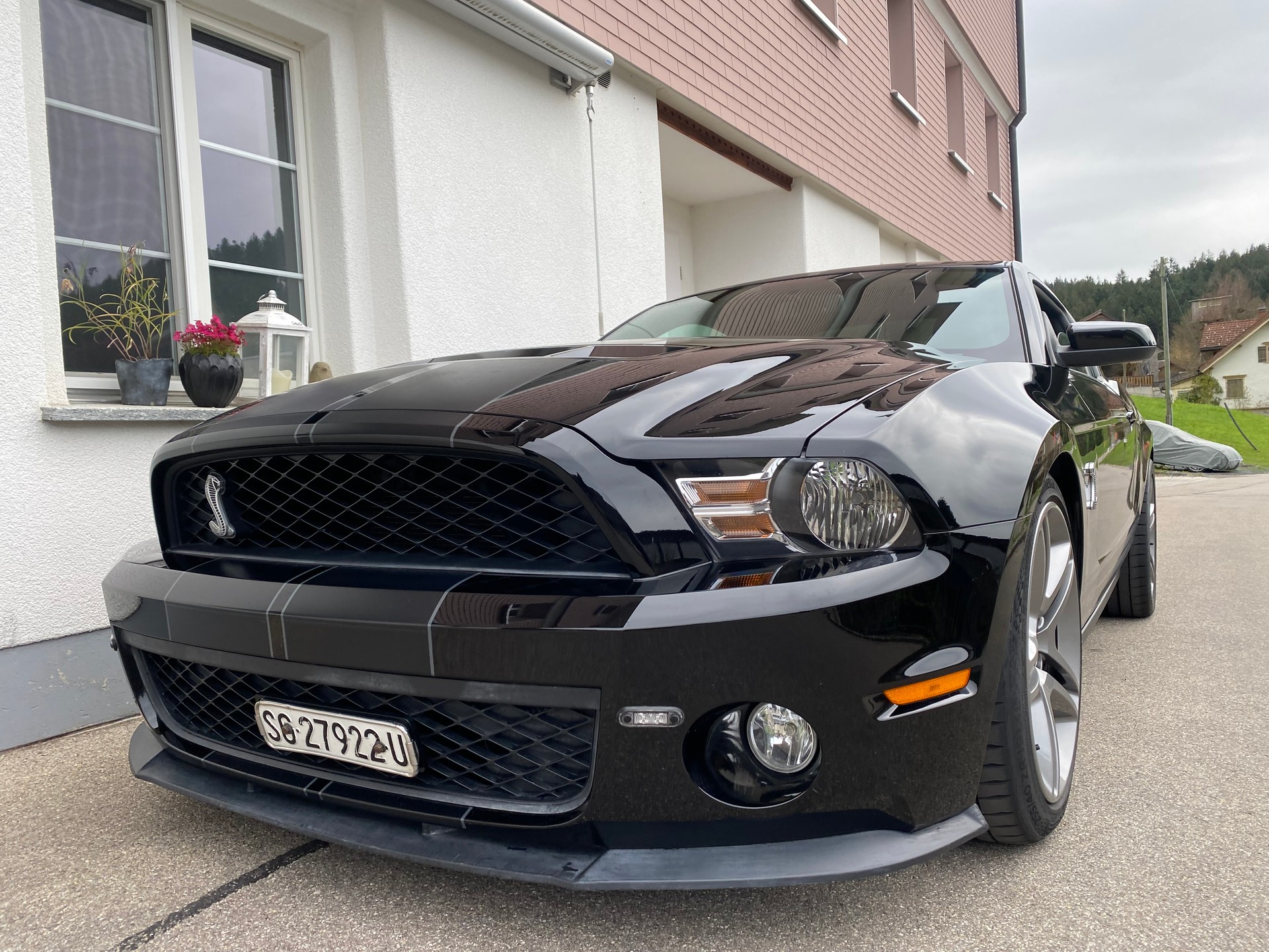 FORD Shelby GT500-image-6