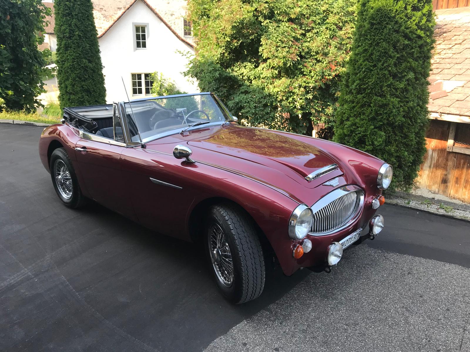AUSTIN-HEALEY-image-1