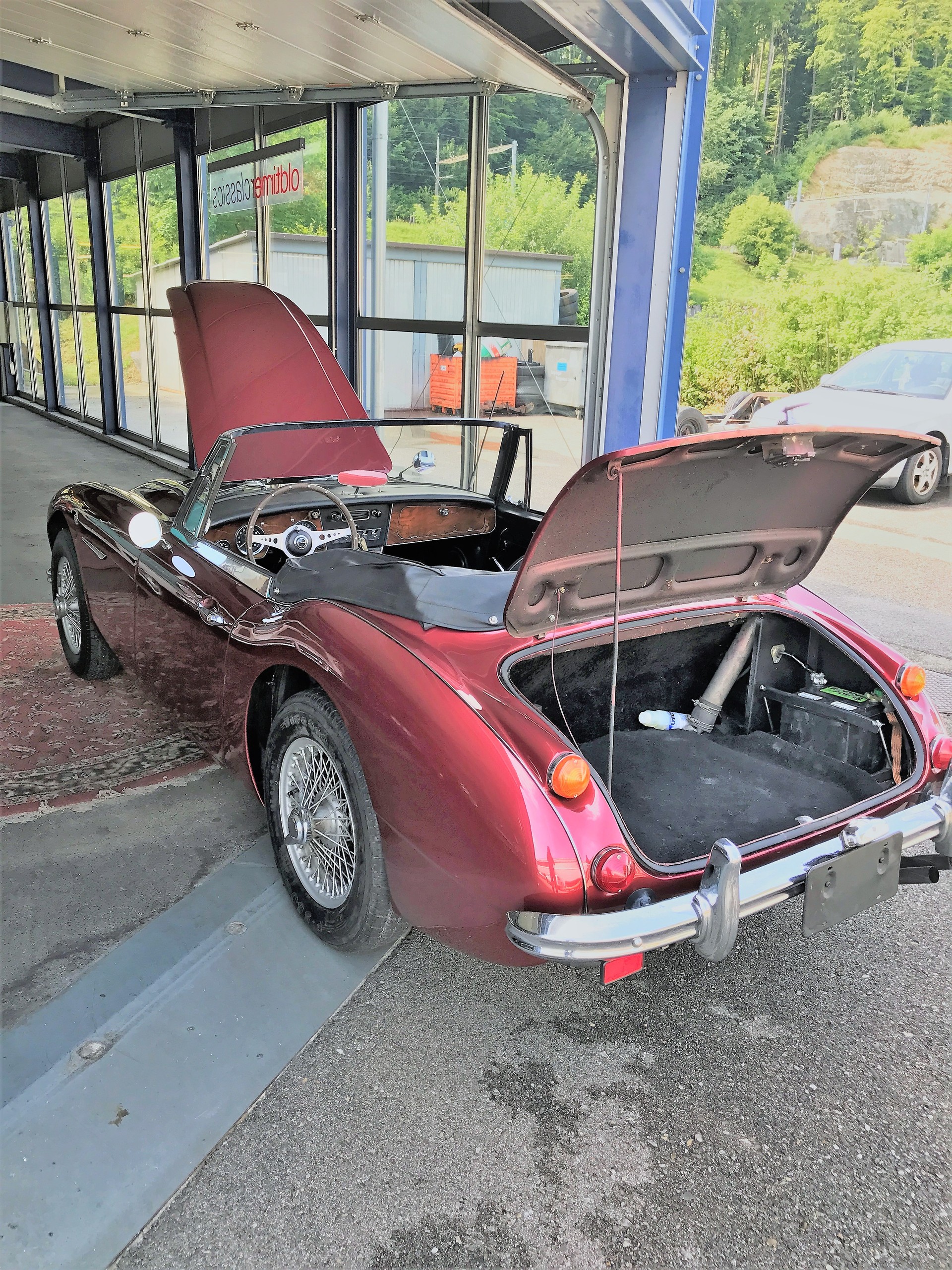 AUSTIN-HEALEY-image-5
