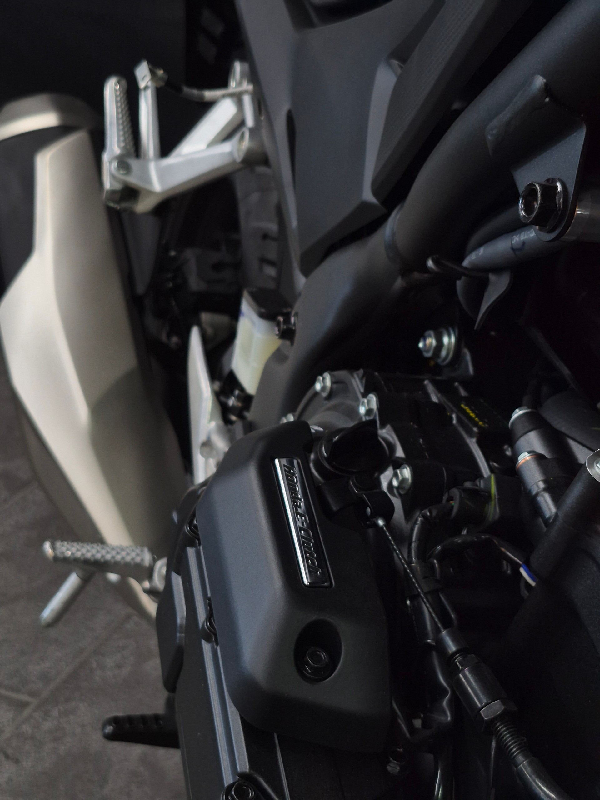 HONDA CB 500 Hornet-image-6