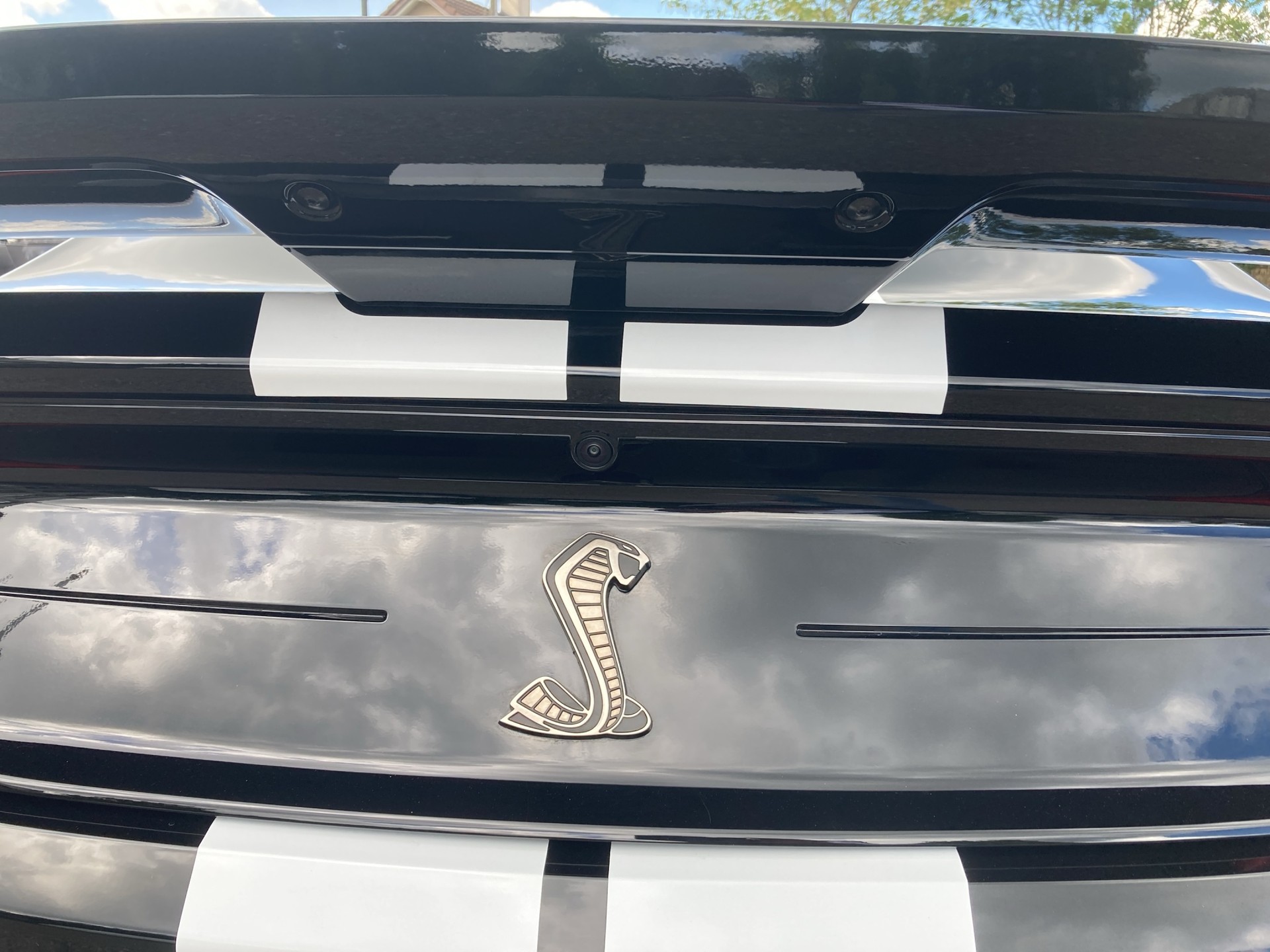 FORD Mustang Shelby GT500-image-19