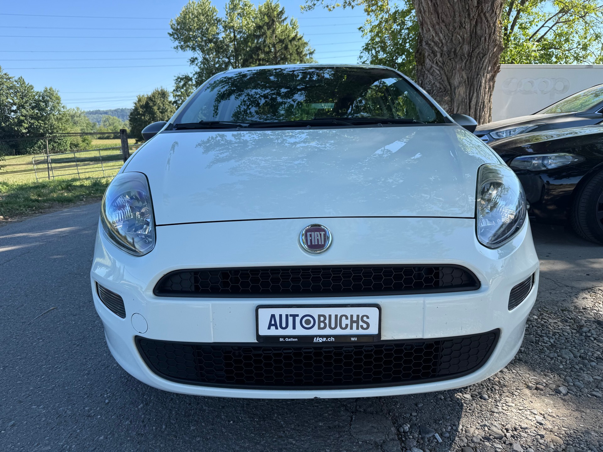 FIAT Punto 1.2 Young-image-1