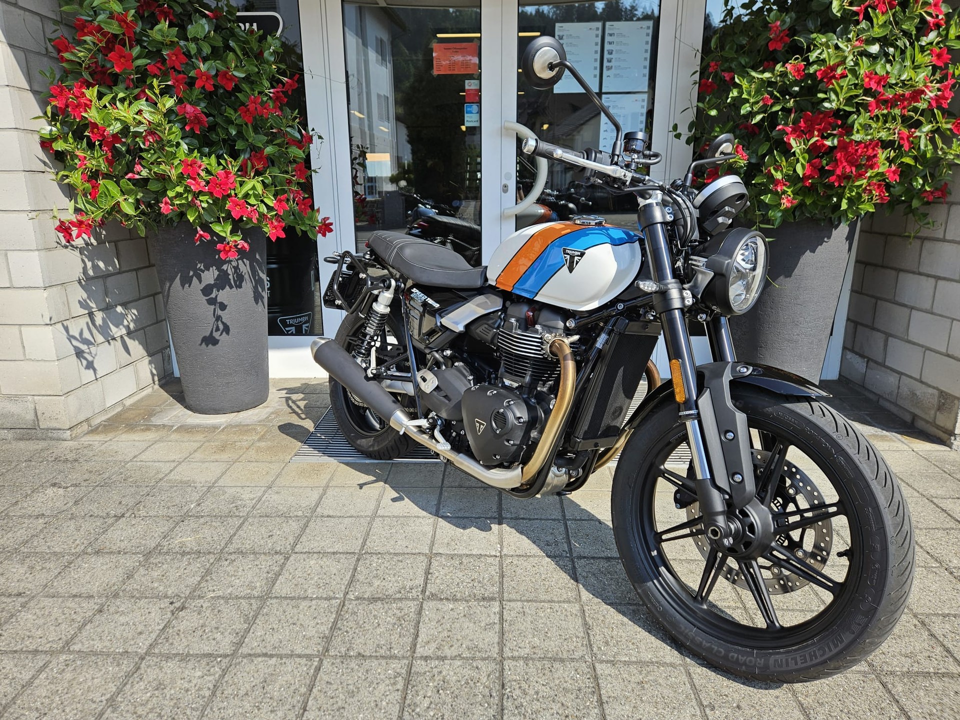 TRIUMPH Speed Twin 900 (35kW)-image-2