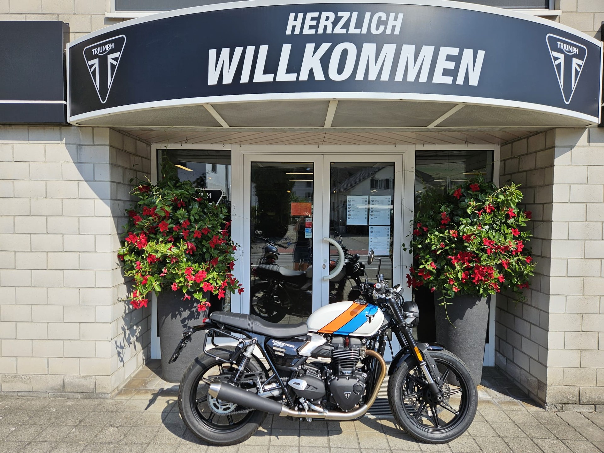 TRIUMPH Speed Twin 900 (35kW)-image-0