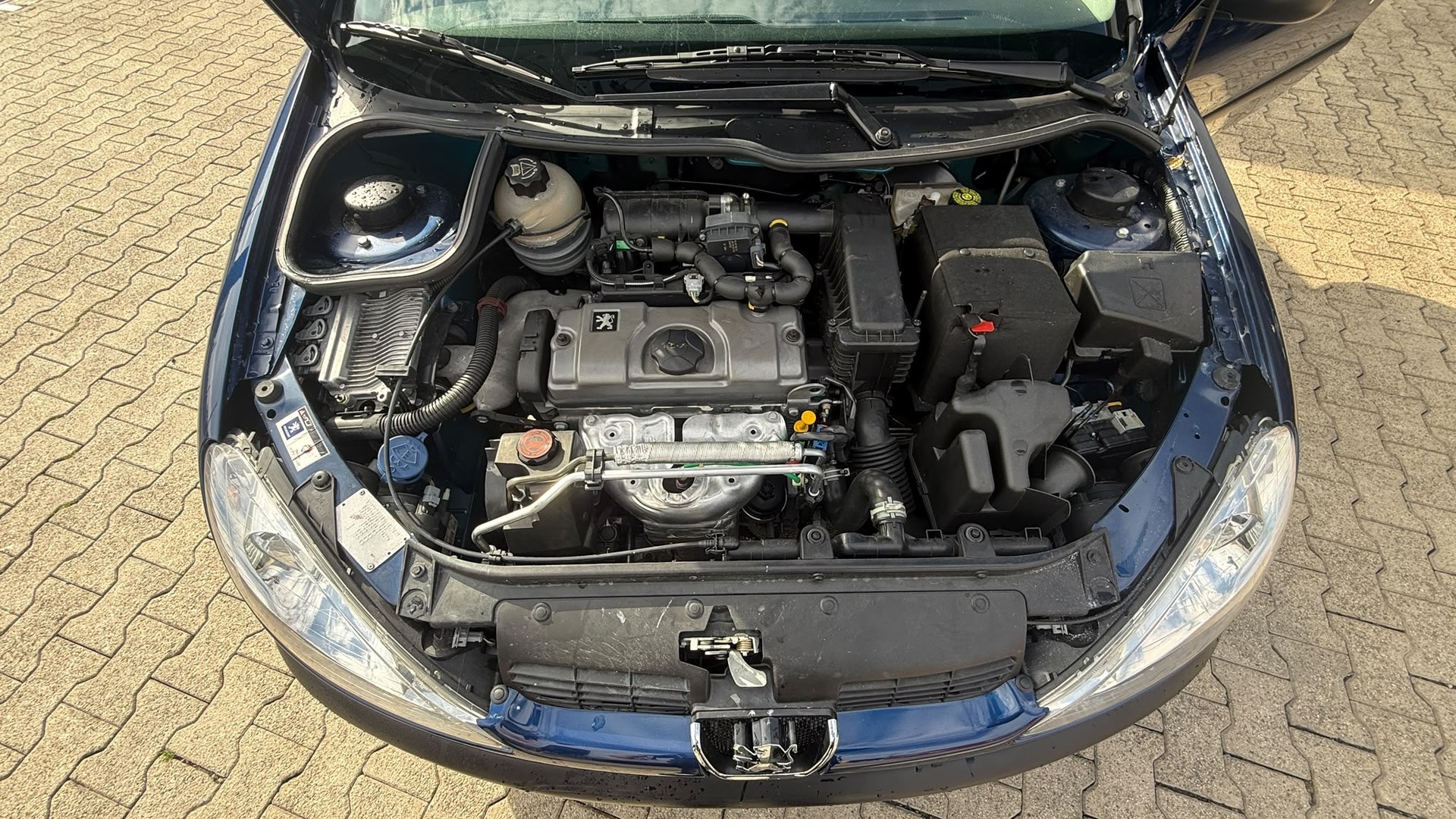 PEUGEOT 206 1.4 Trendy-image-11