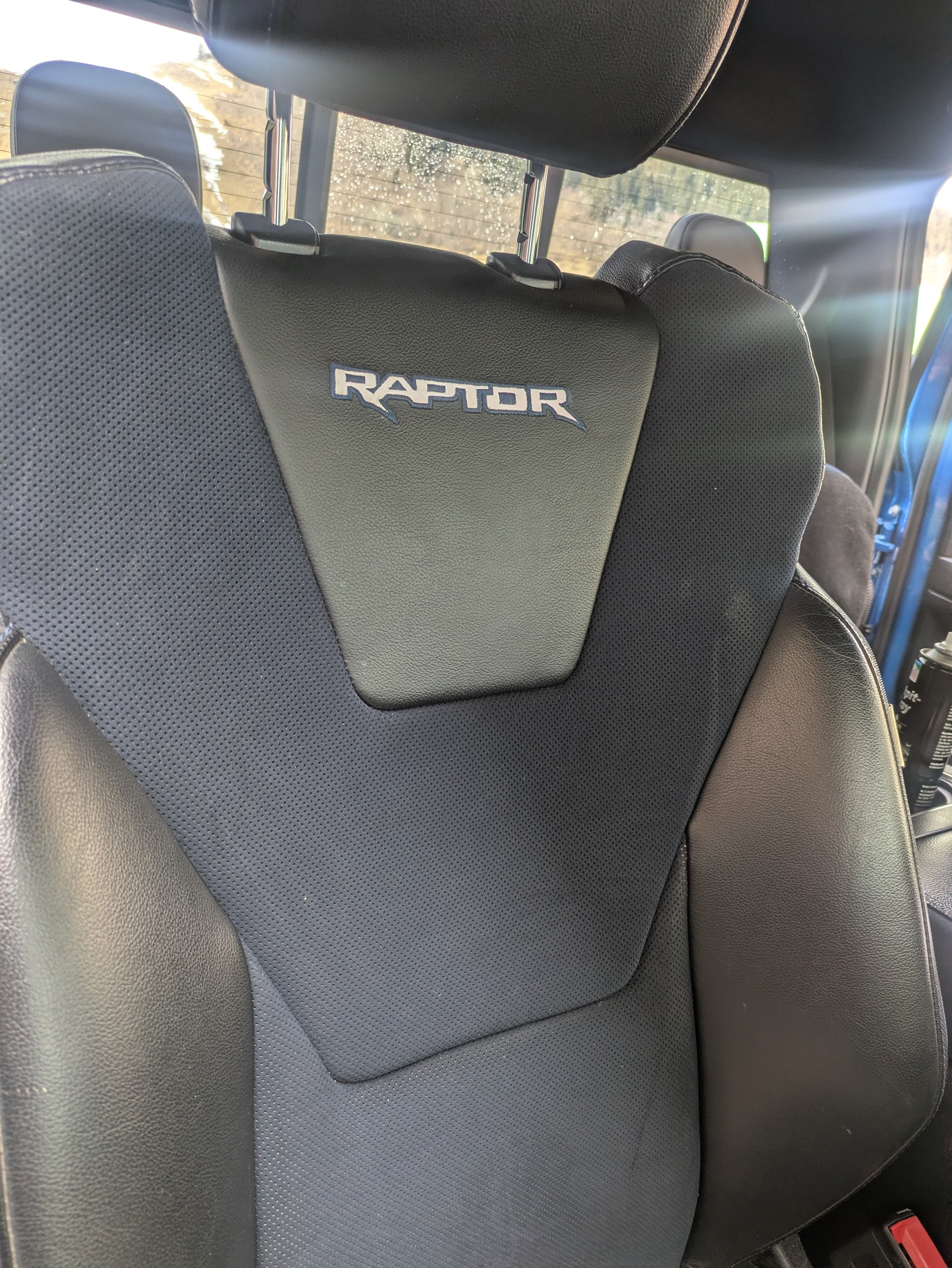 FORD 150 Raptor-image-1