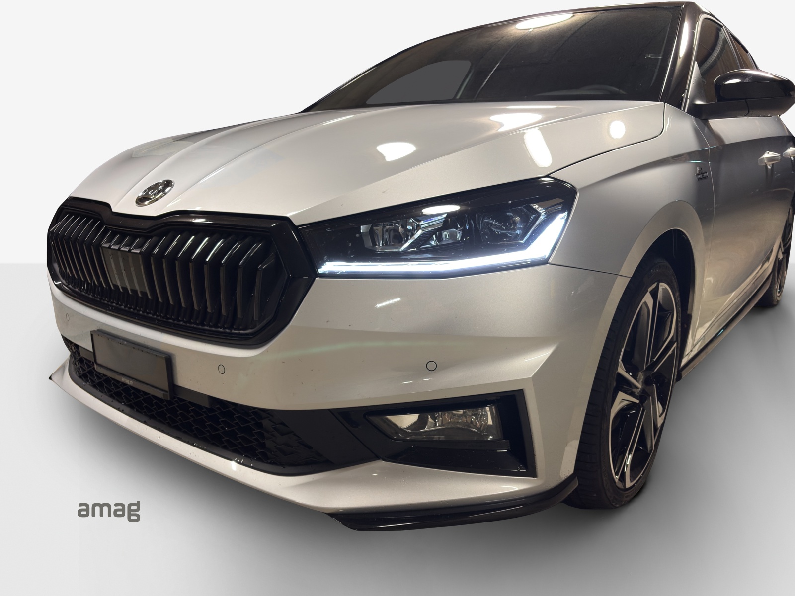 SKODA Fabia 1.0 TSI Monte Carlo DSG