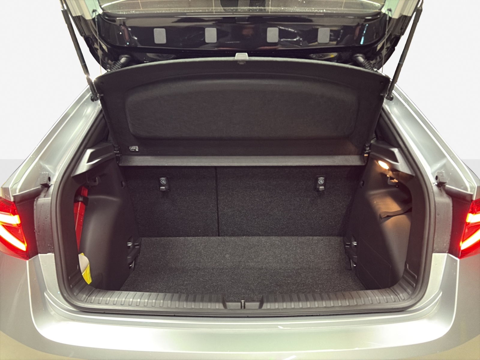 SKODA Fabia 1.0 TSI Monte Carlo DSG-image-11