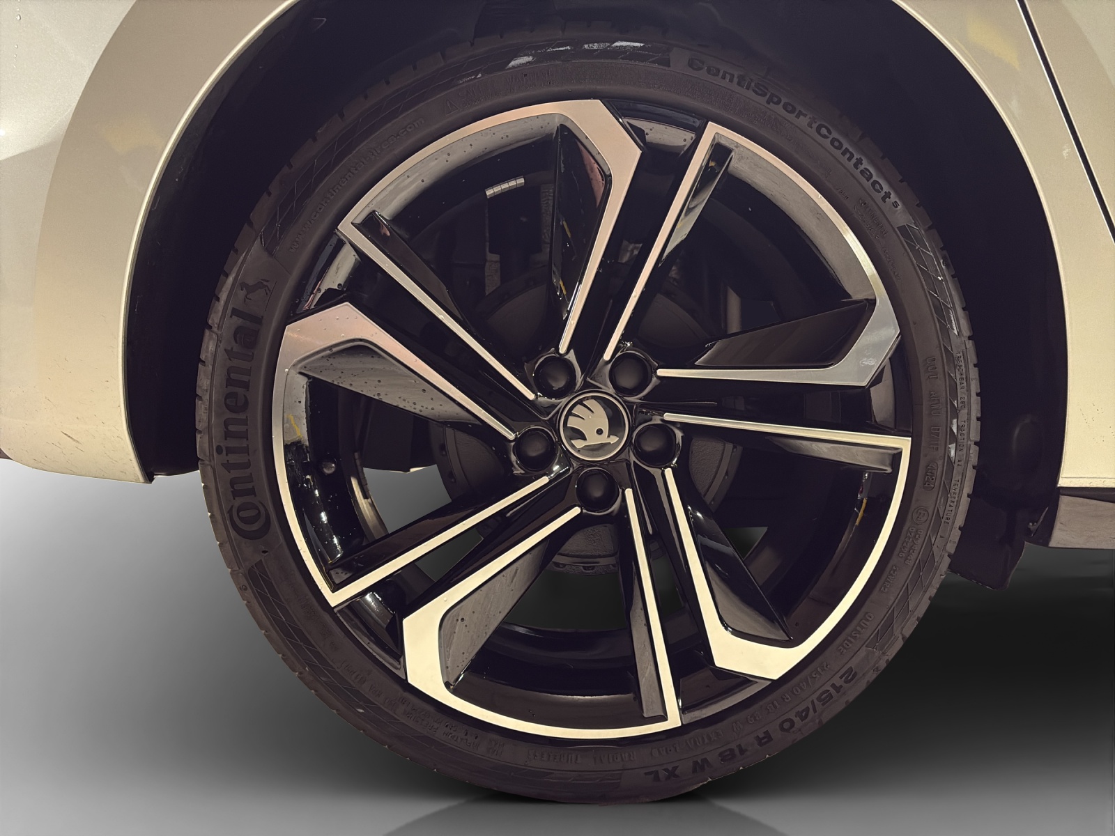 SKODA Fabia 1.0 TSI Monte Carlo DSG-image-12