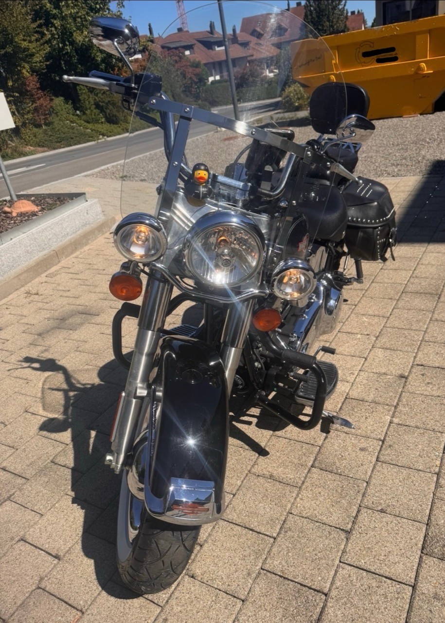 HARLEY-DAVIDSON FLSTCI Softail Classic-image-2