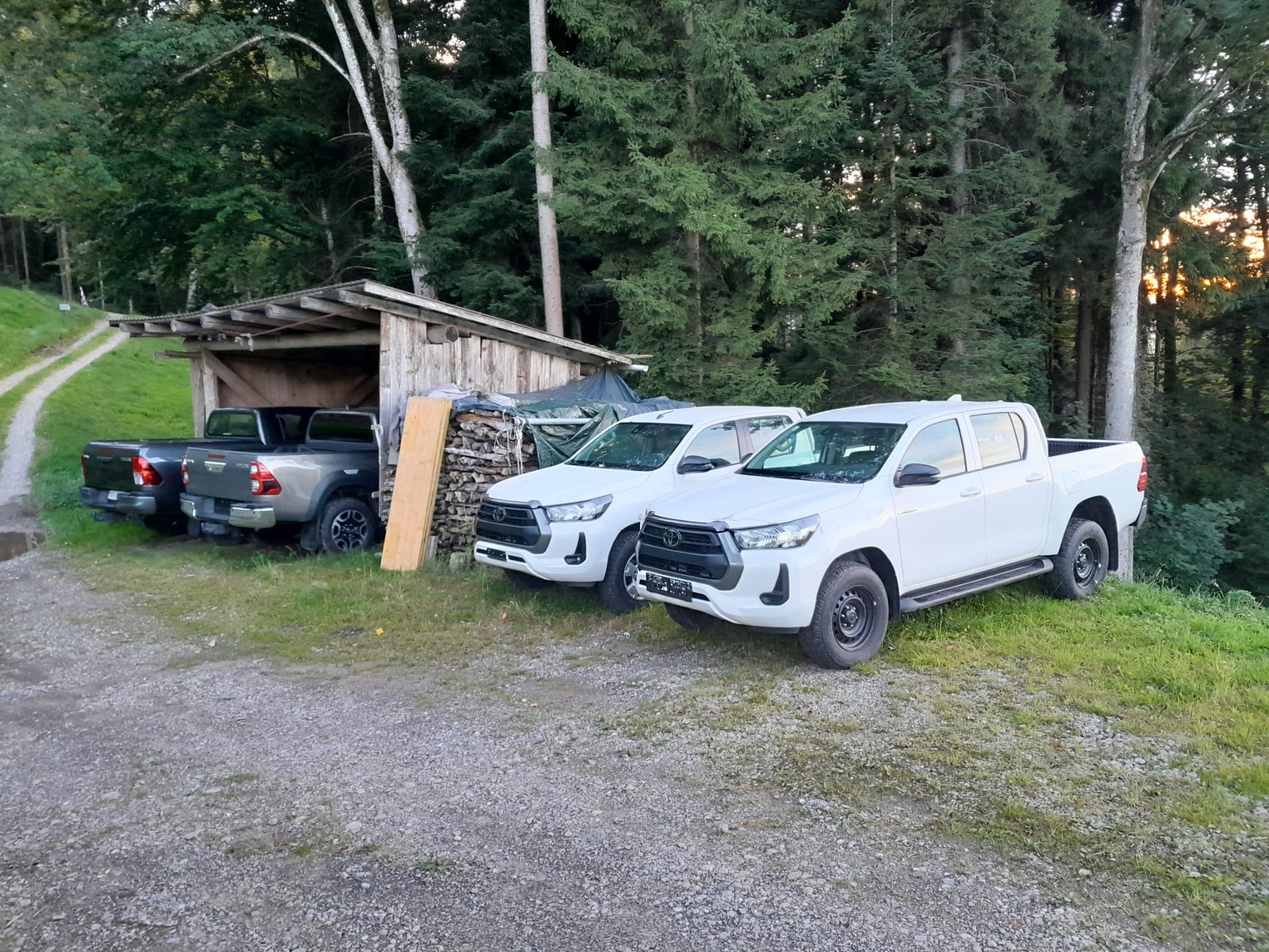 TOYOTA HI-LUX 2,8 DC 4x4 / Tech. Paket, inkl. AHK 3,5 Tonnen und Wanne, ALU + Offroadpneu optional *** kein Mildhybrid !!! ***-image-17