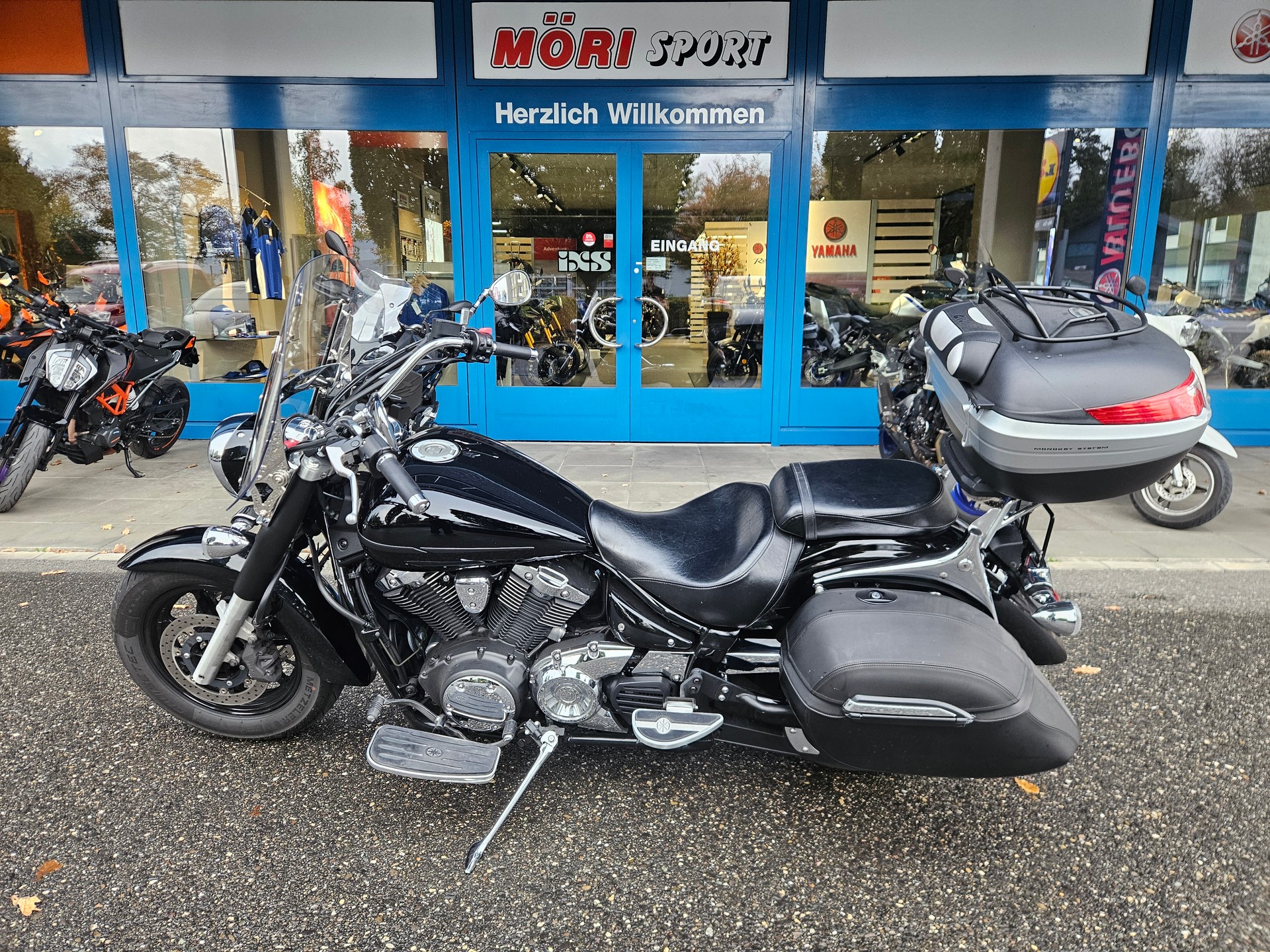 YAMAHA XVS 1300 A Midnight Star-image-3