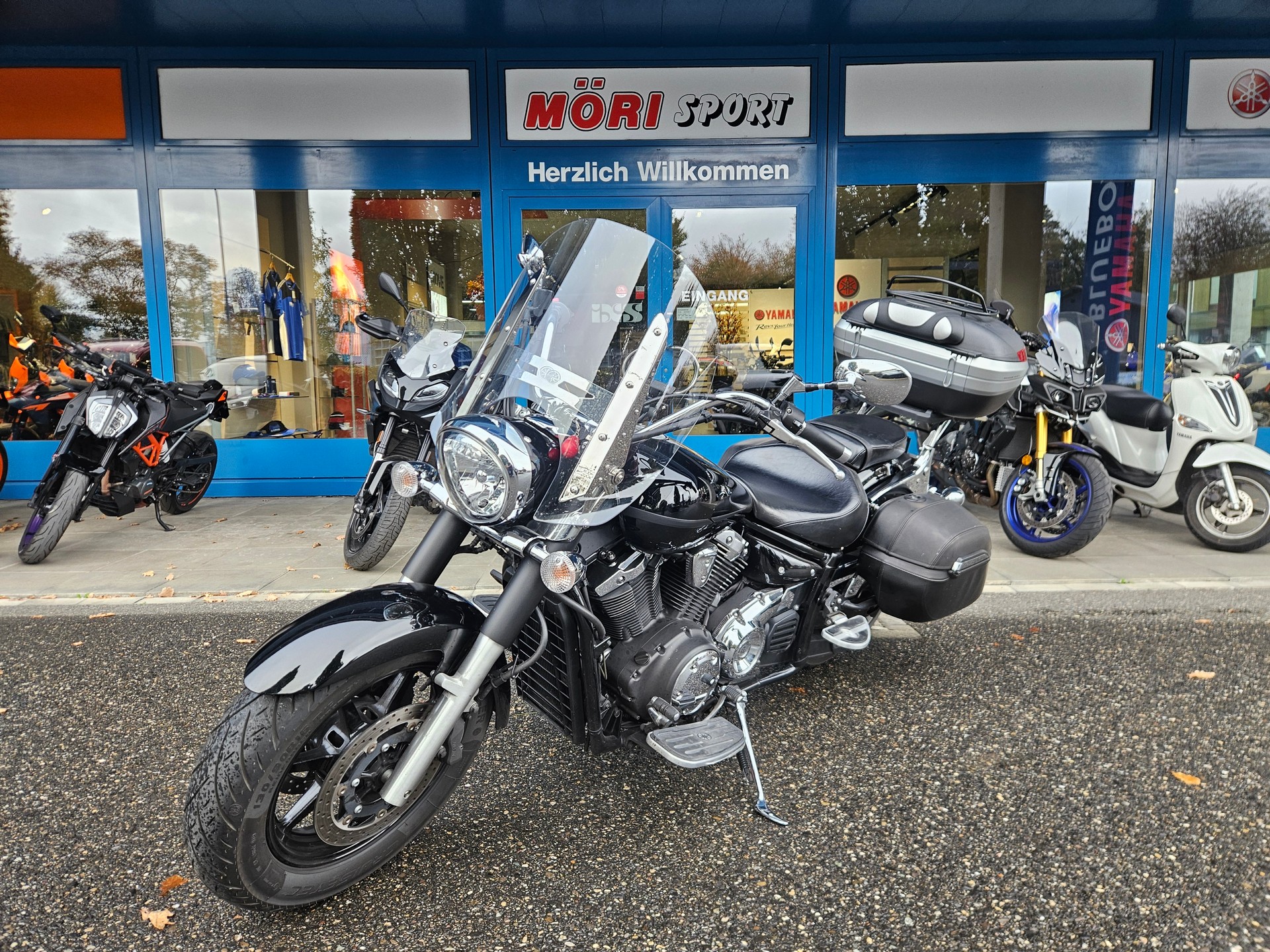 YAMAHA XVS 1300 A Midnight Star-image-2