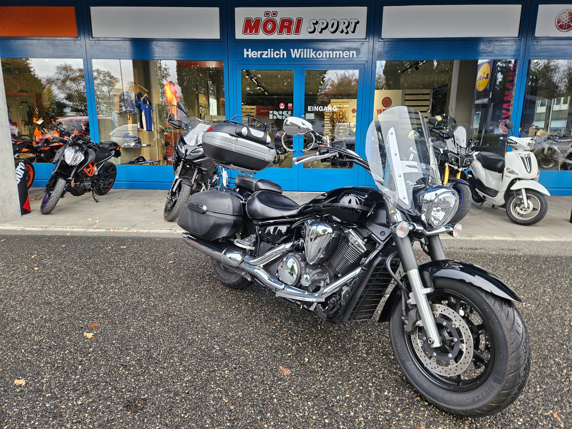 YAMAHA XVS 1300 A Midnight Star-image-1