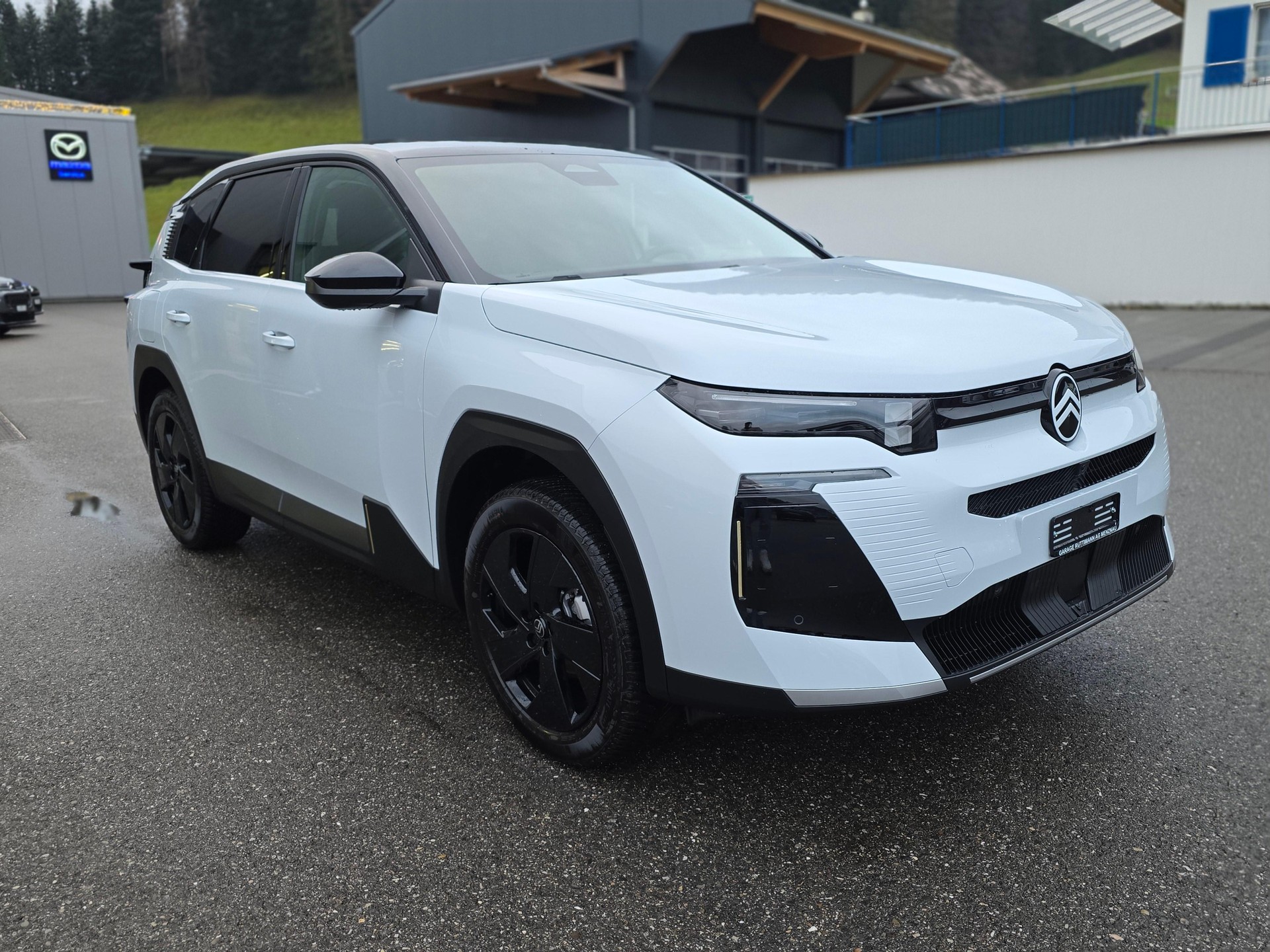CITROEN C5 Aircross 1.2 Hybrid Max-image-6