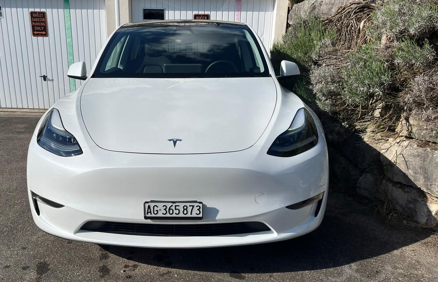 TESLA Model Y long range AWD dual motor-image-7