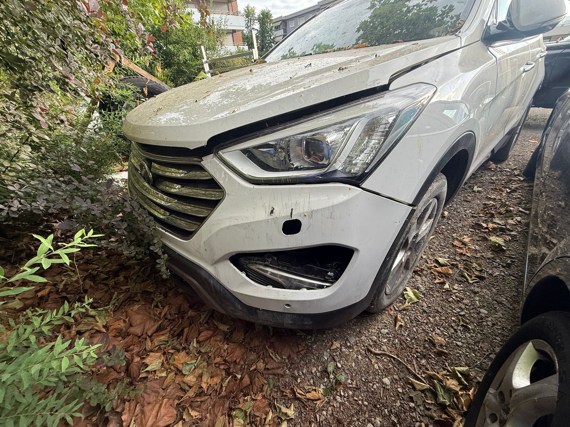 HYUNDAI 2.2 CRDi Vertex 7P