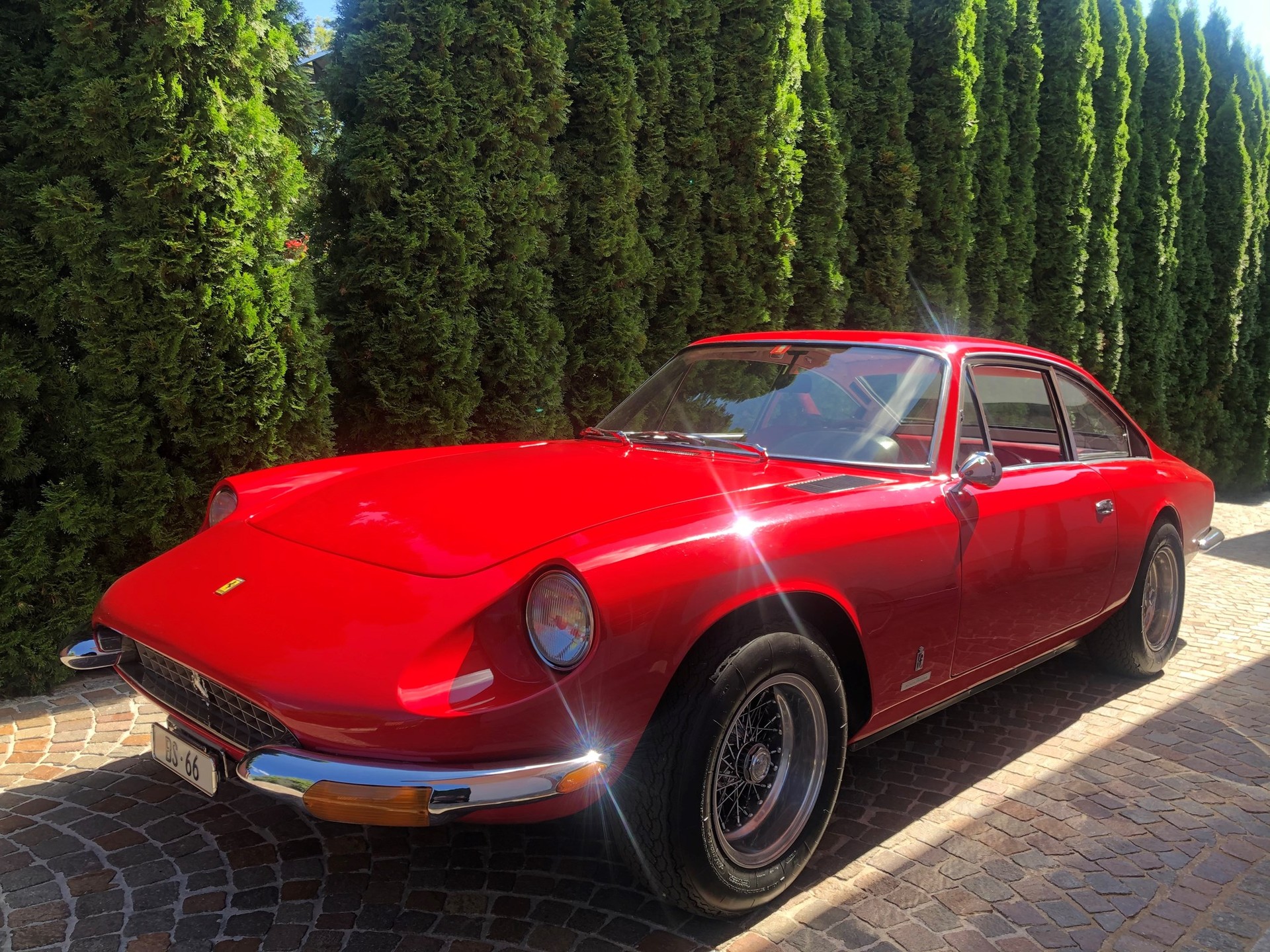 FERRARI 365 GT 2+2-image-3
