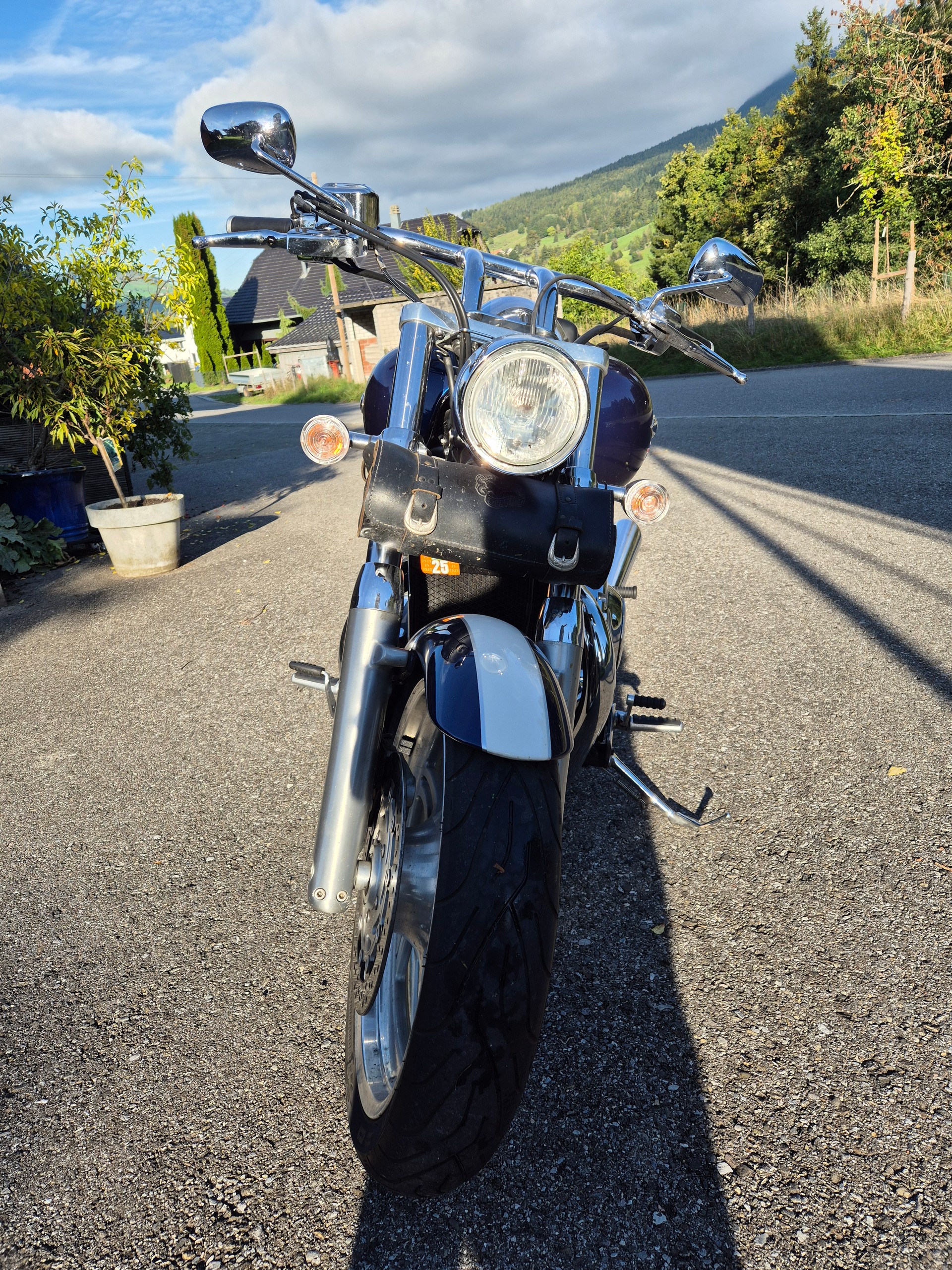 TRIUMPH Thunderbird 1600 ABS-image-3