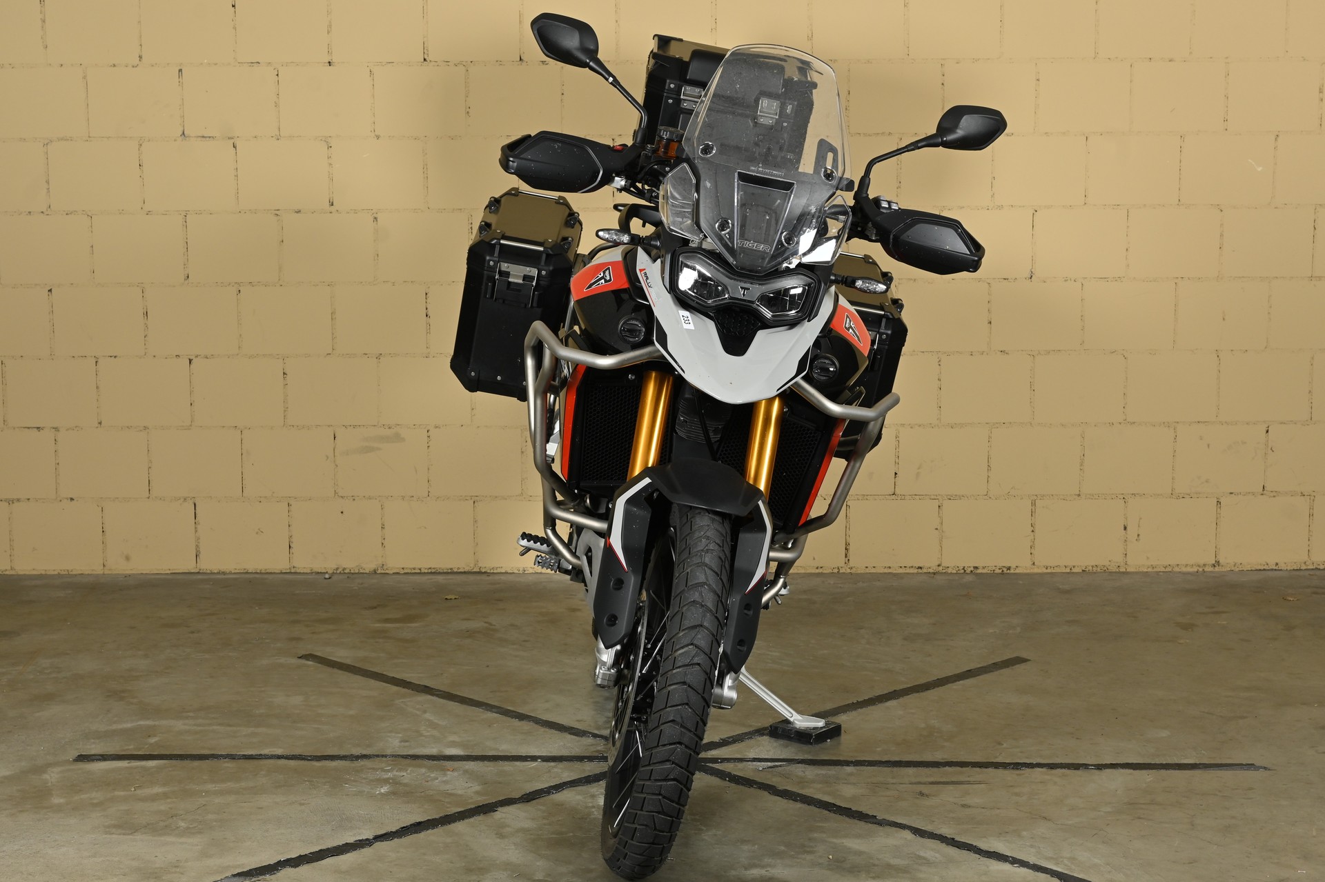TRIUMPH Tiger 900 Rally Pro-image-10