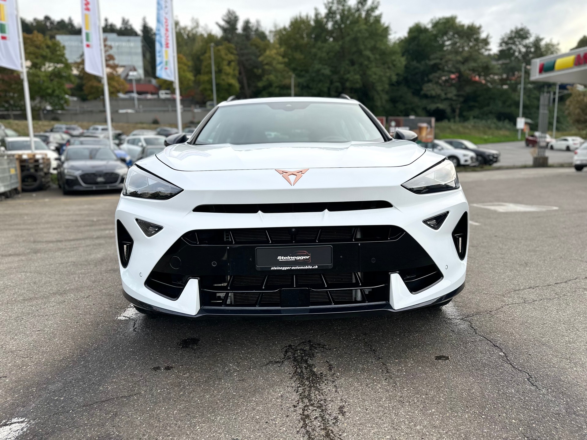 CUPRA Formentor 2.0TSI VZ 4Drive DSG-showroom-element-3