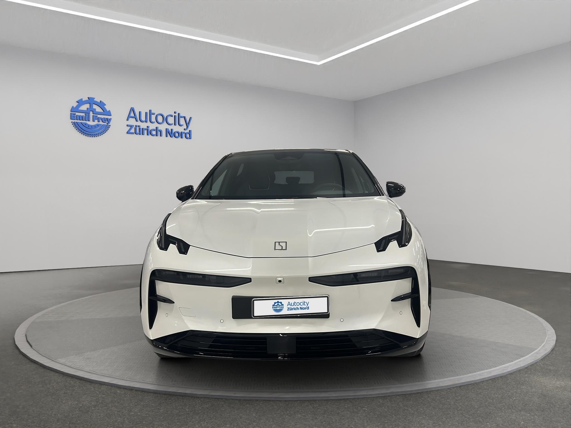 ZEEKR X Privilege AWD-showroom-element-1