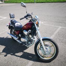 YAMAHA XV 1000 Virago-image-3