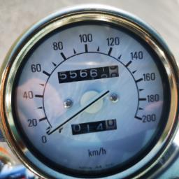 YAMAHA XV 1000 Virago-image-6