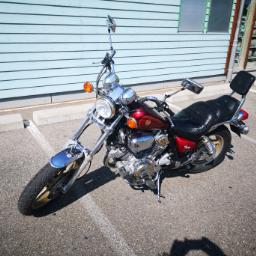 YAMAHA XV 1000 Virago-image-0