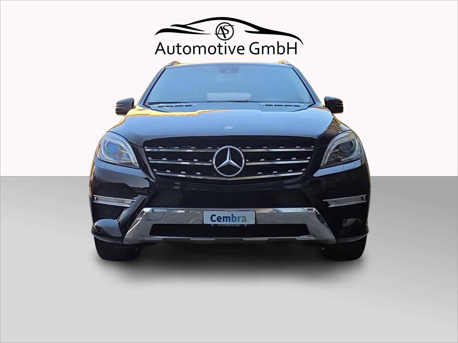 MERCEDES-BENZ ML 350 BlueTEC 4Matic 7G-Tronic-image-10