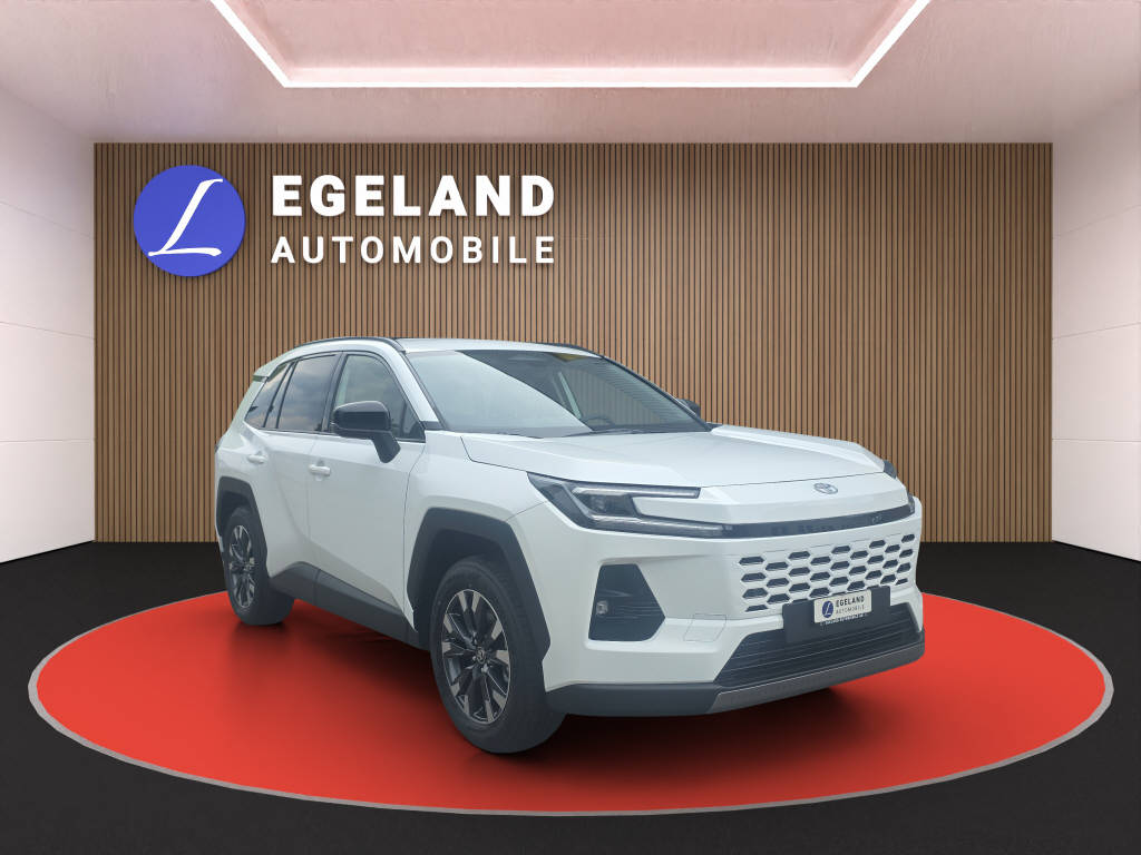 TOYOTA RAV-4 2.5 HEV Trend 4WD-showroom-element-1