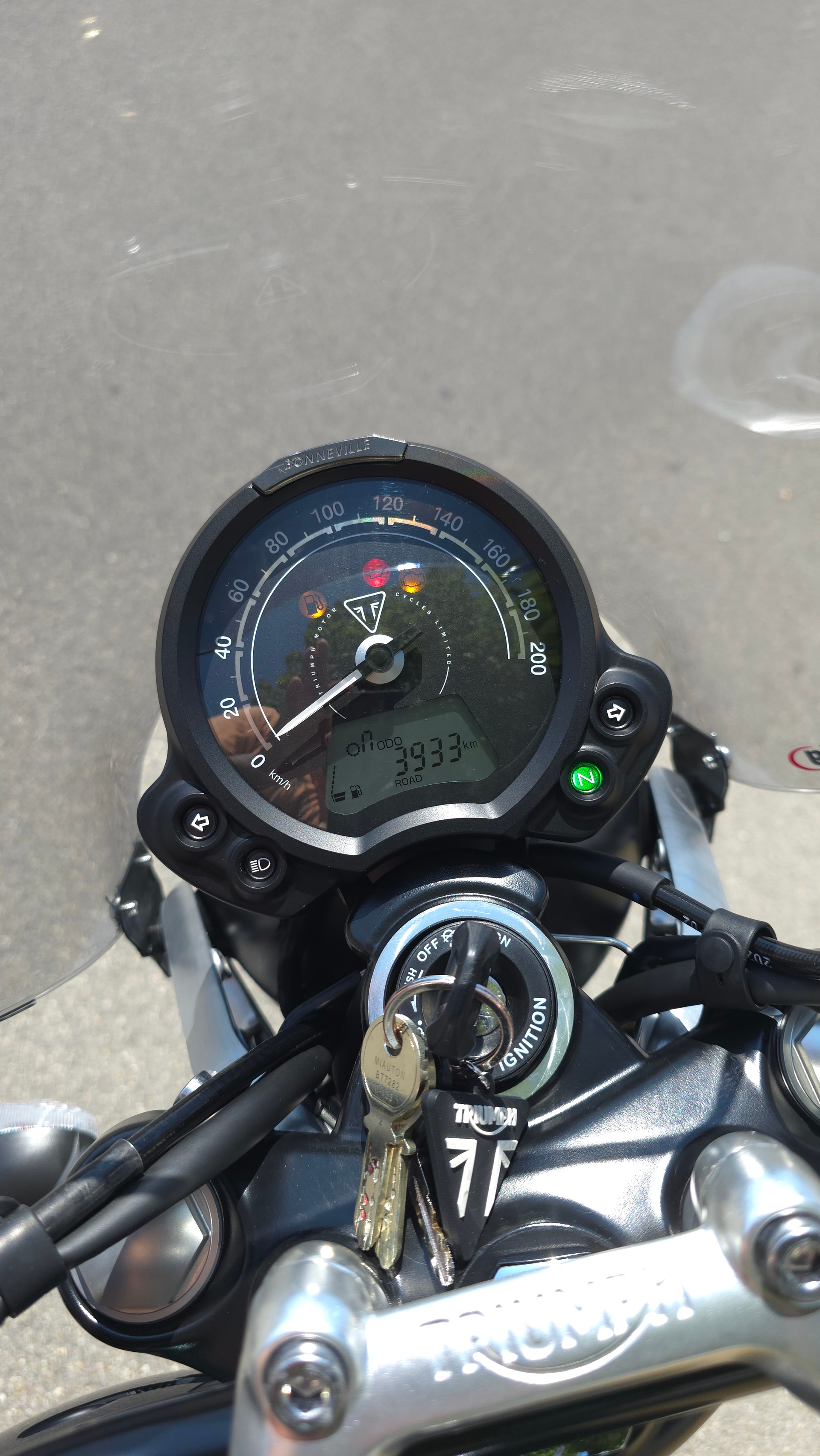 TRIUMPH Speed Twin 900-image-6