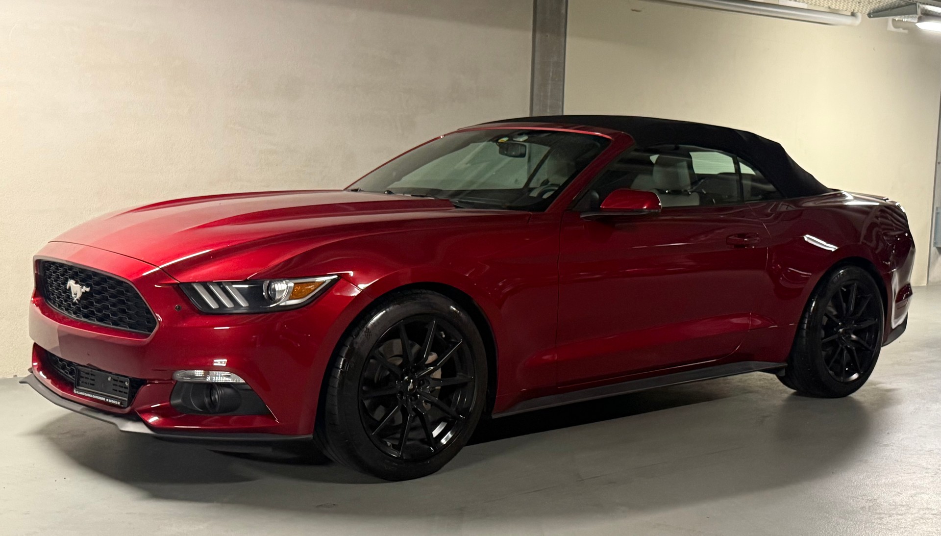 FORD Mustang Convertible 2.3 Automat-showroom-element-2