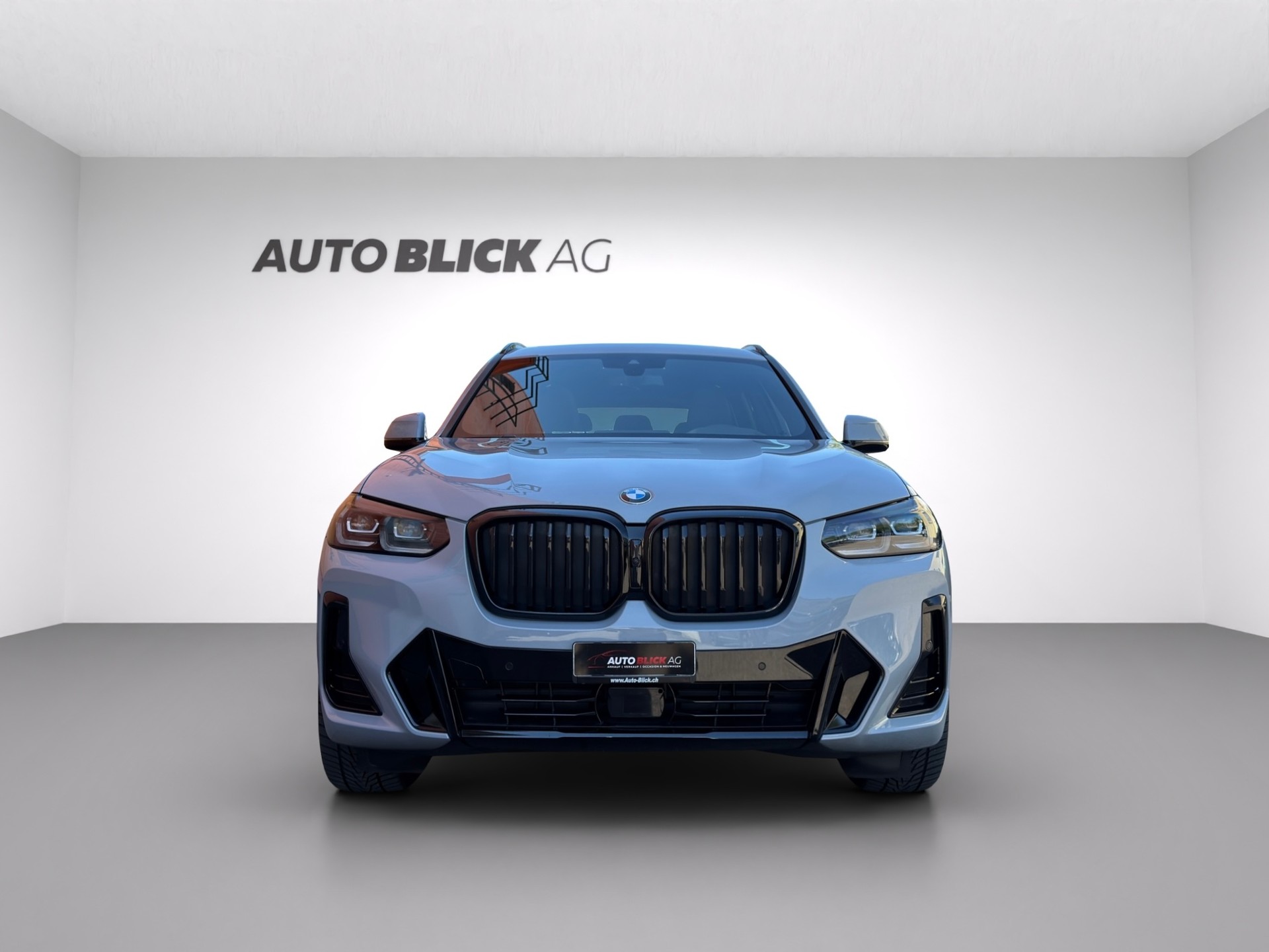 BMW X3 xDrive 48V 20d M Sport-showroom-element-2