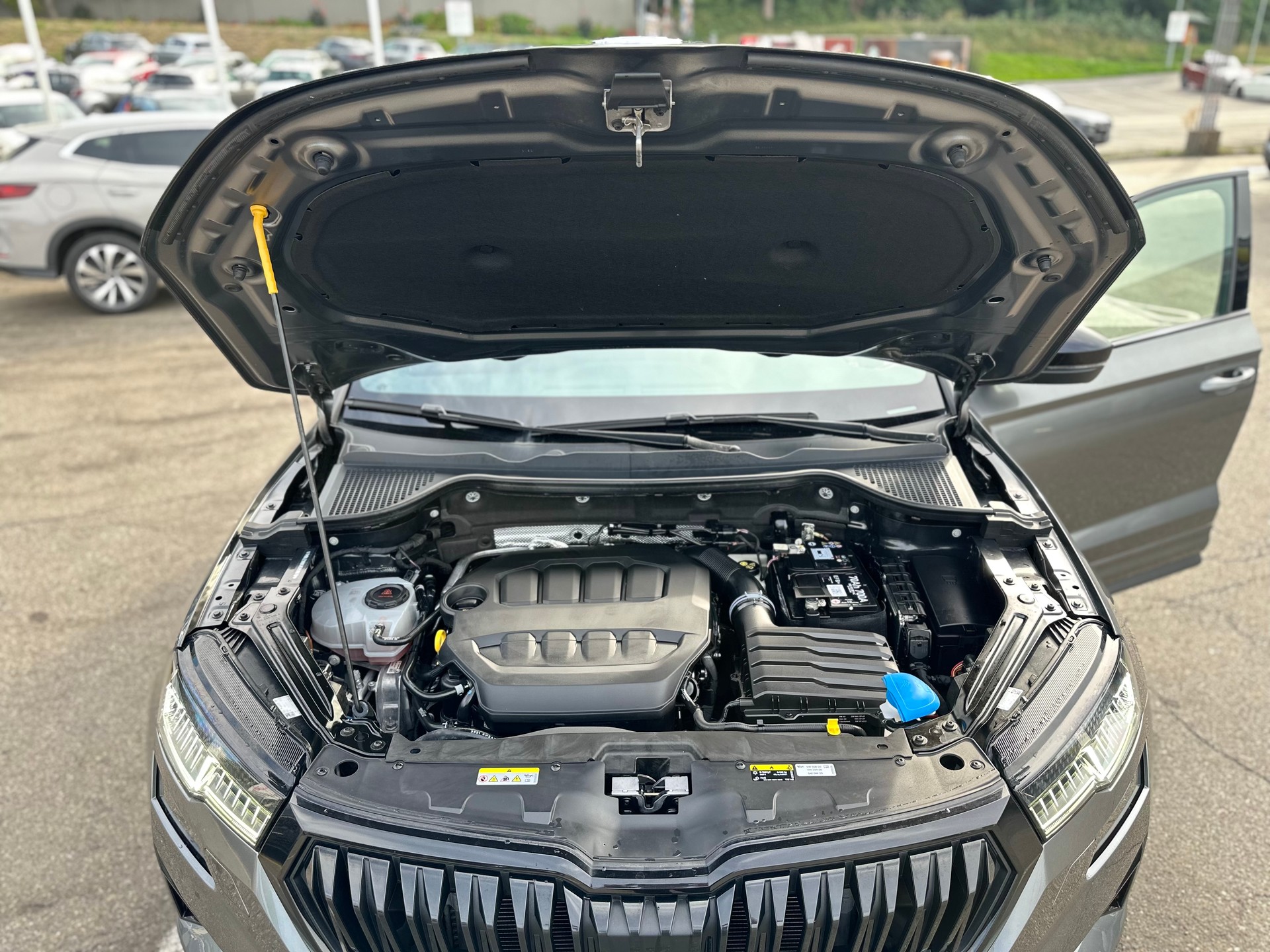 SKODA Karoq 2.0 TSI SportLine 4x4 DSG-image-19
